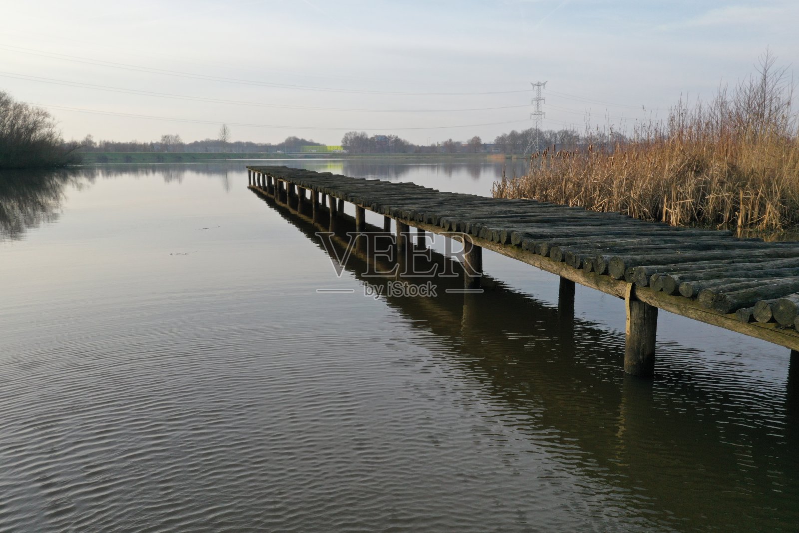 延伸至长满金色芦苇的湖面上的木制码头侧视图照片摄影图片