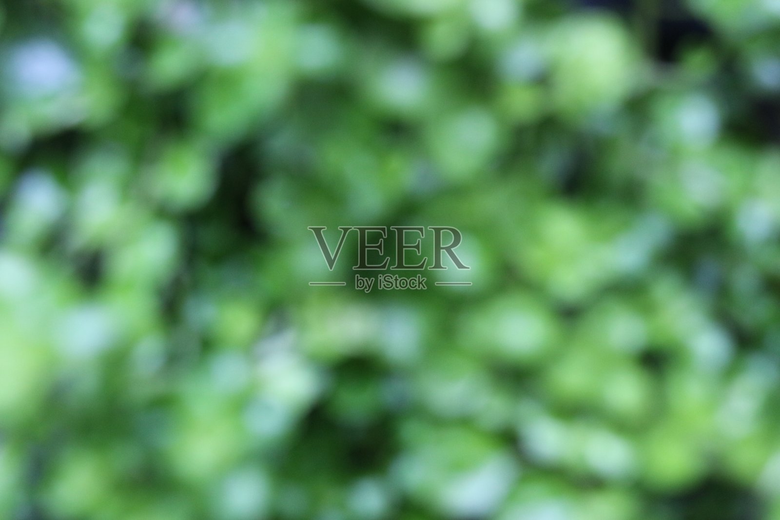 模糊的背景照片摄影图片