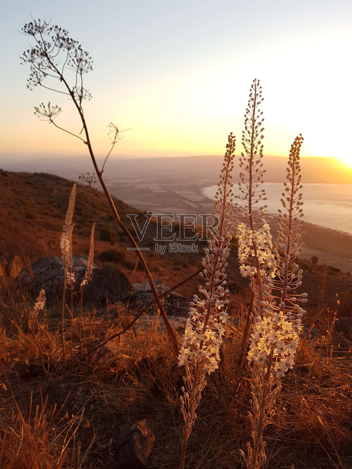 加利利海的日落照片摄影图片