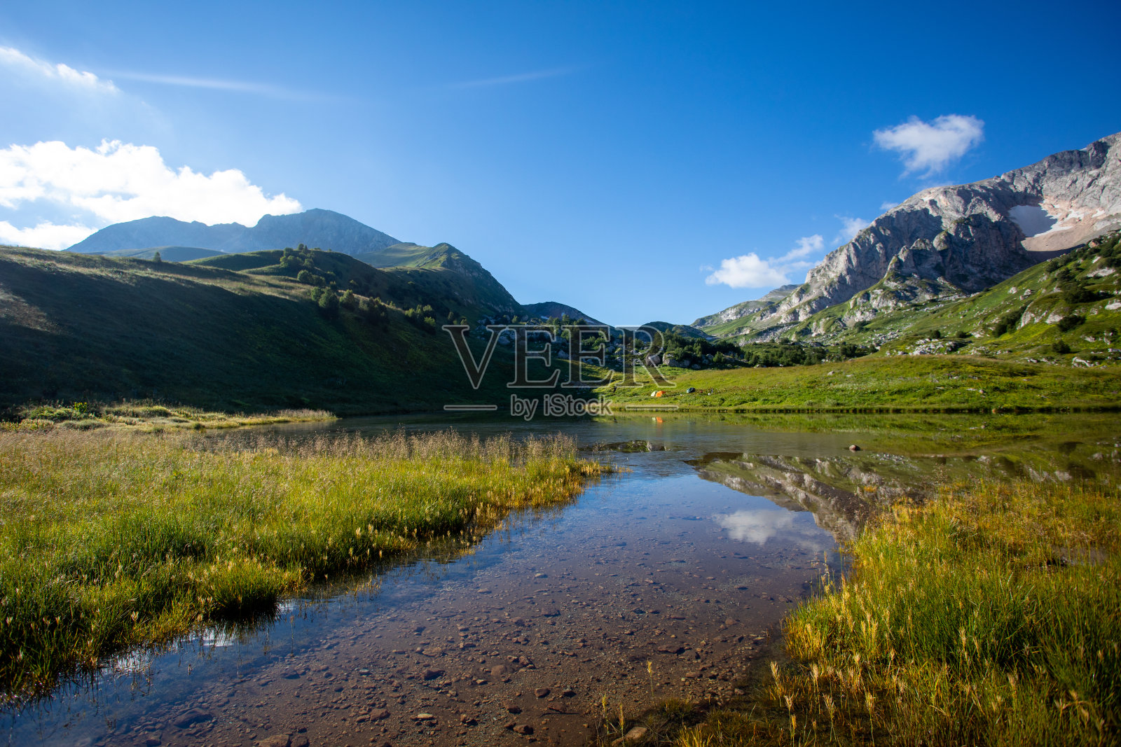 美丽的夏季景色,盛开的高加索山脉高山草甸照片摄影图片