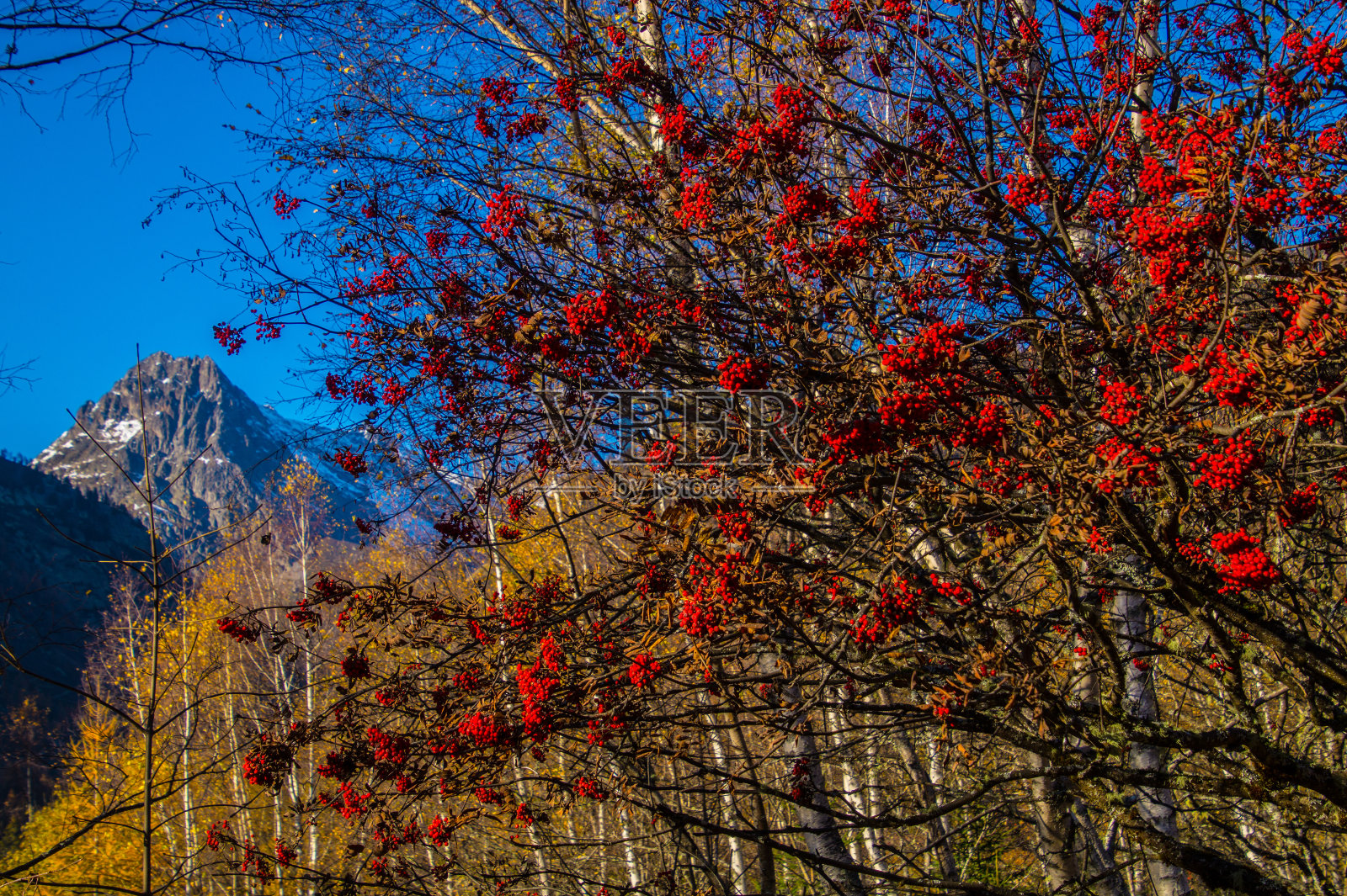 秋天法国阿尔卑斯山的风景照片摄影图片