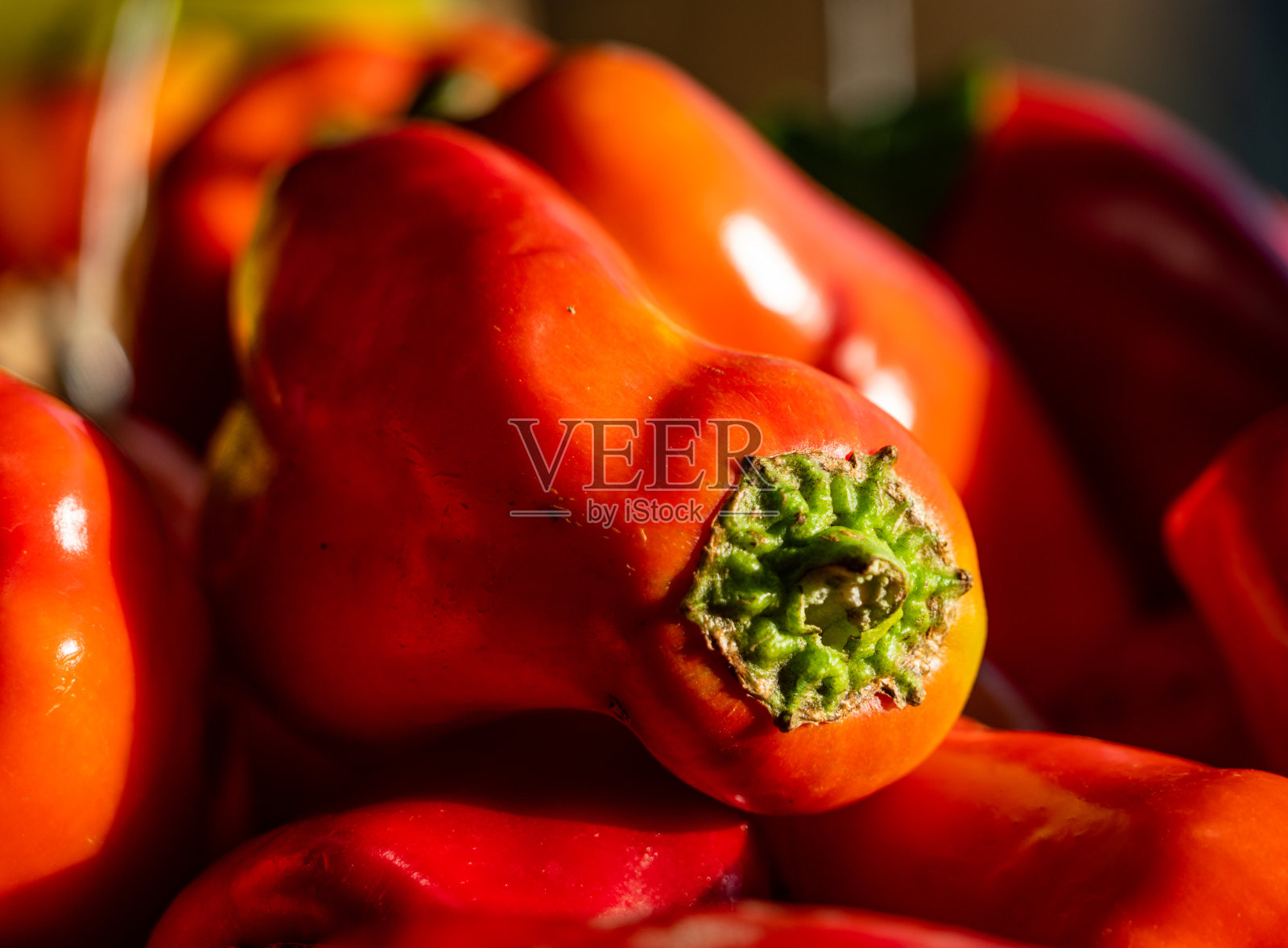 辣椒在阳光下照片摄影图片