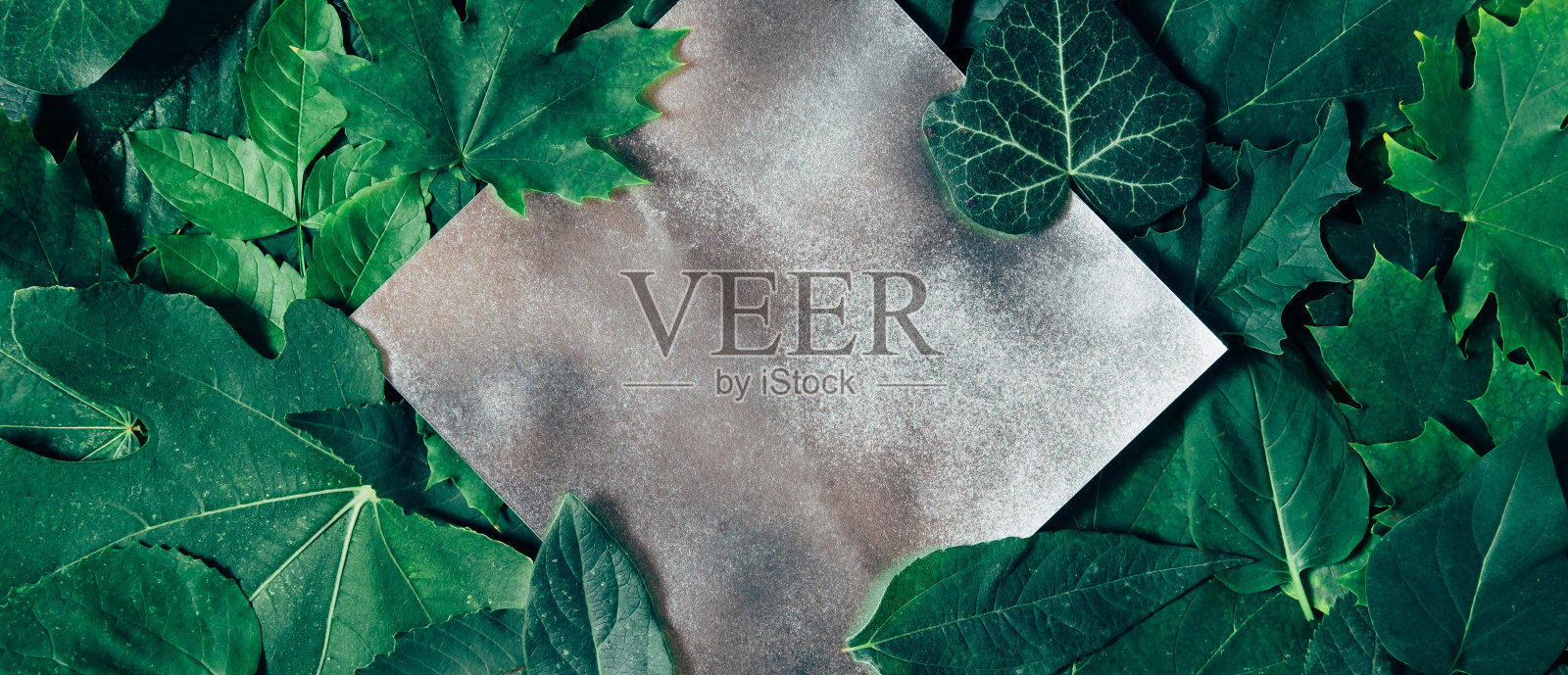 绿色叶子中的银菱形音符照片摄影图片