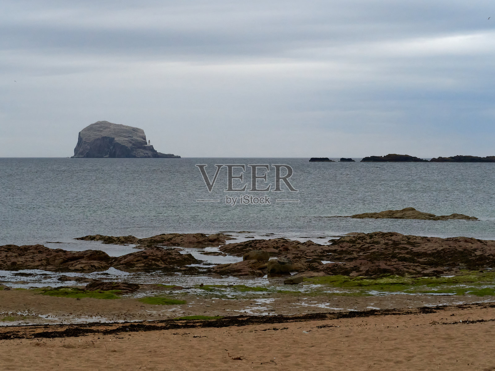 低音摇滚在苏格兰,塘鹅的地方照片摄影图片