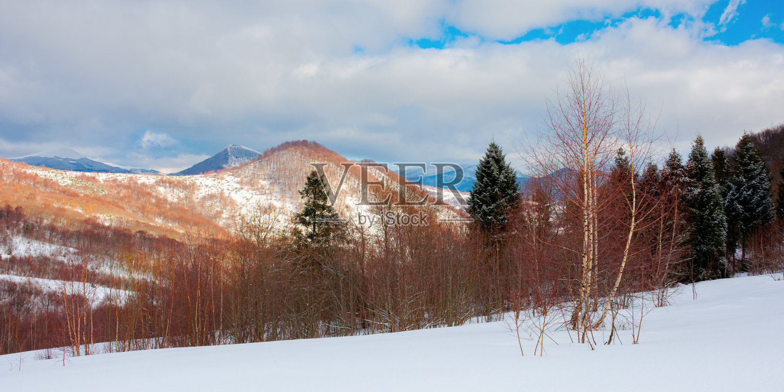 公园在白雪覆盖的山上照片摄影图片