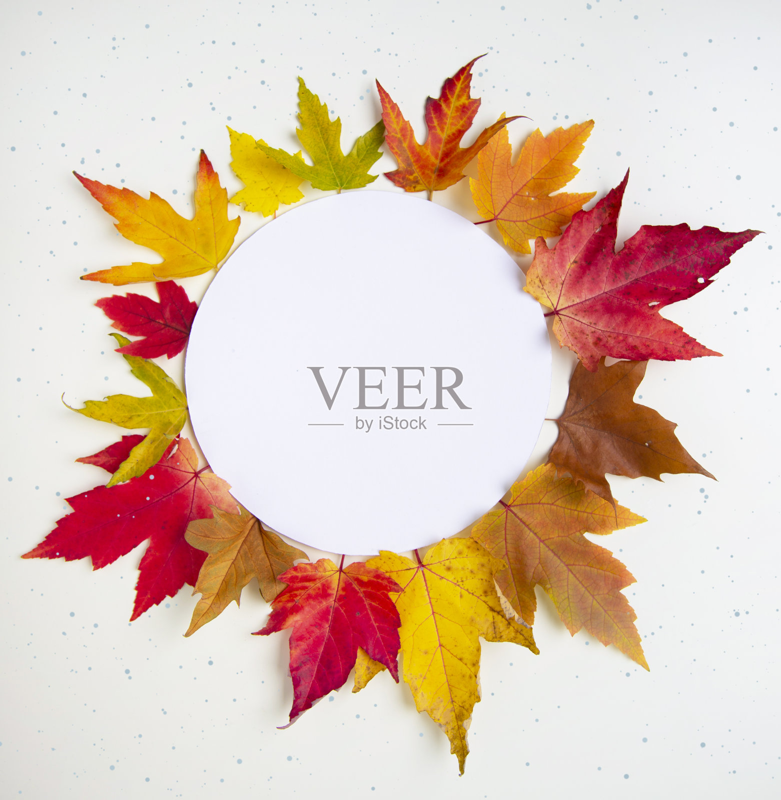 秋天的庆祝活动框架照片摄影图片