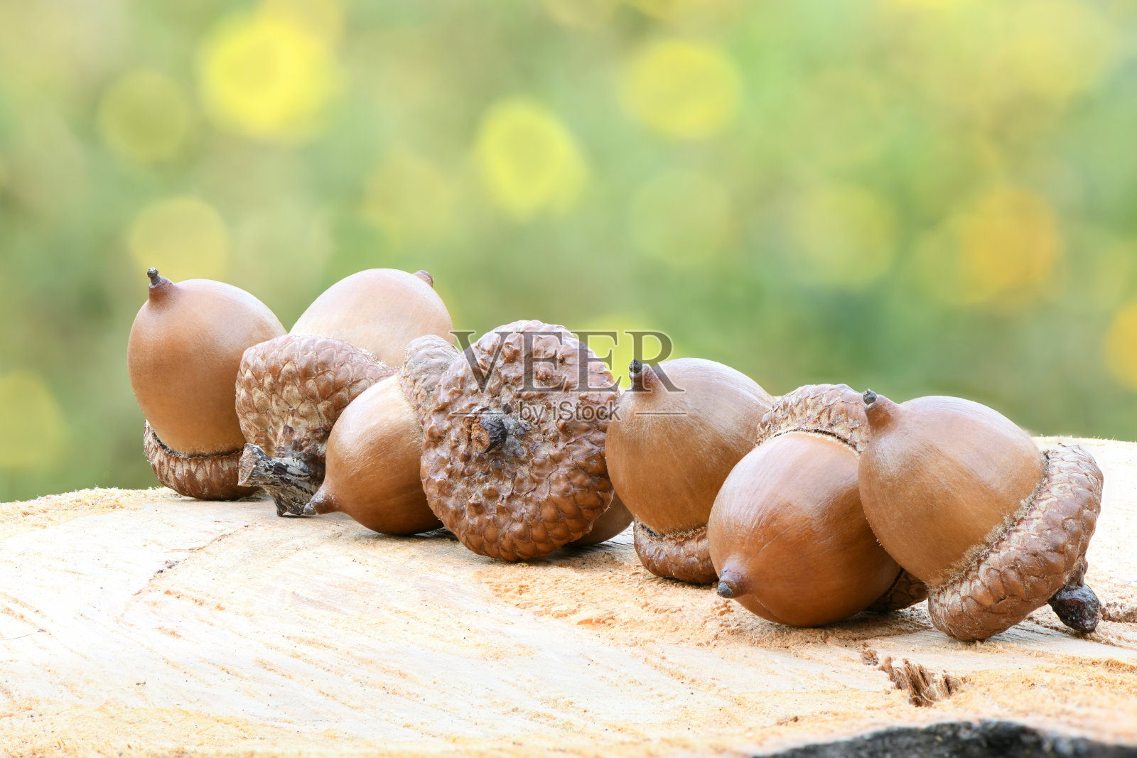 橡树的橡子在木头背景上照片摄影图片