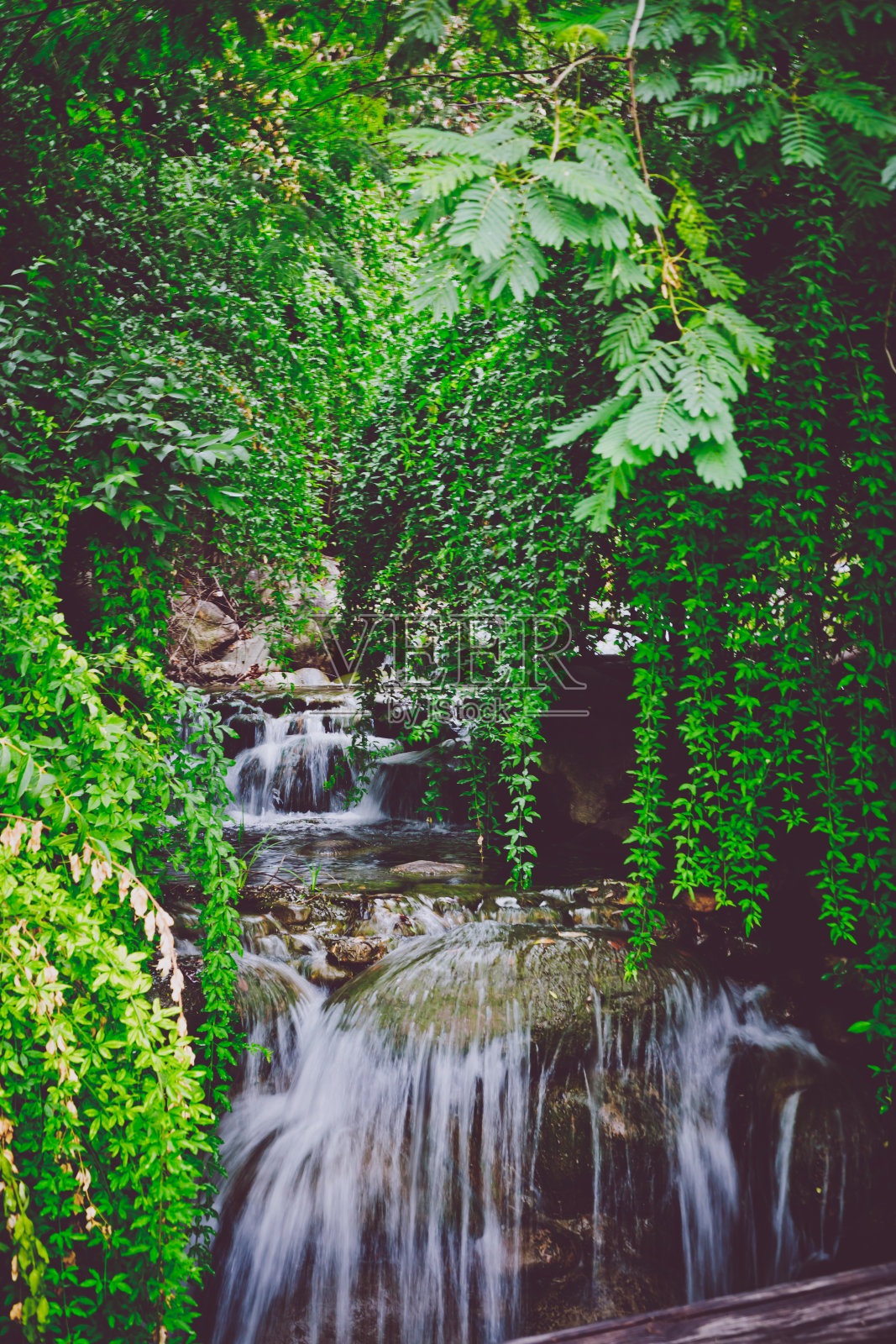 森林深处的小溪照片摄影图片