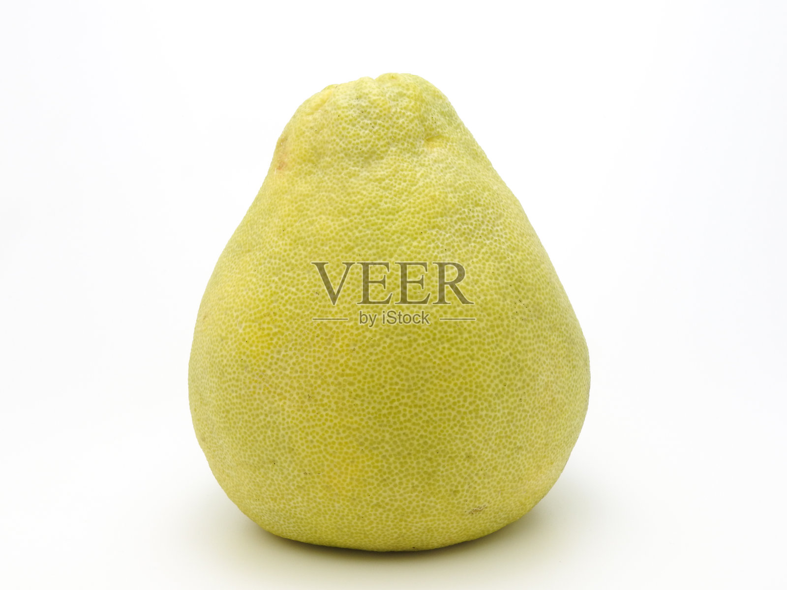 柚子的正面视图,柑桔的最大或柑桔孤立在白色的背景。在中秋节前收集,作为礼物送给朋友和亲戚。照片摄影图片