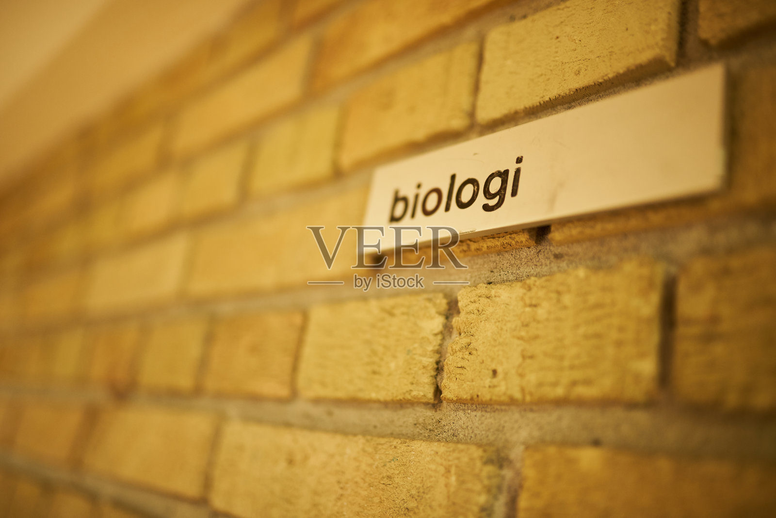 学校生物课的标志照片摄影图片