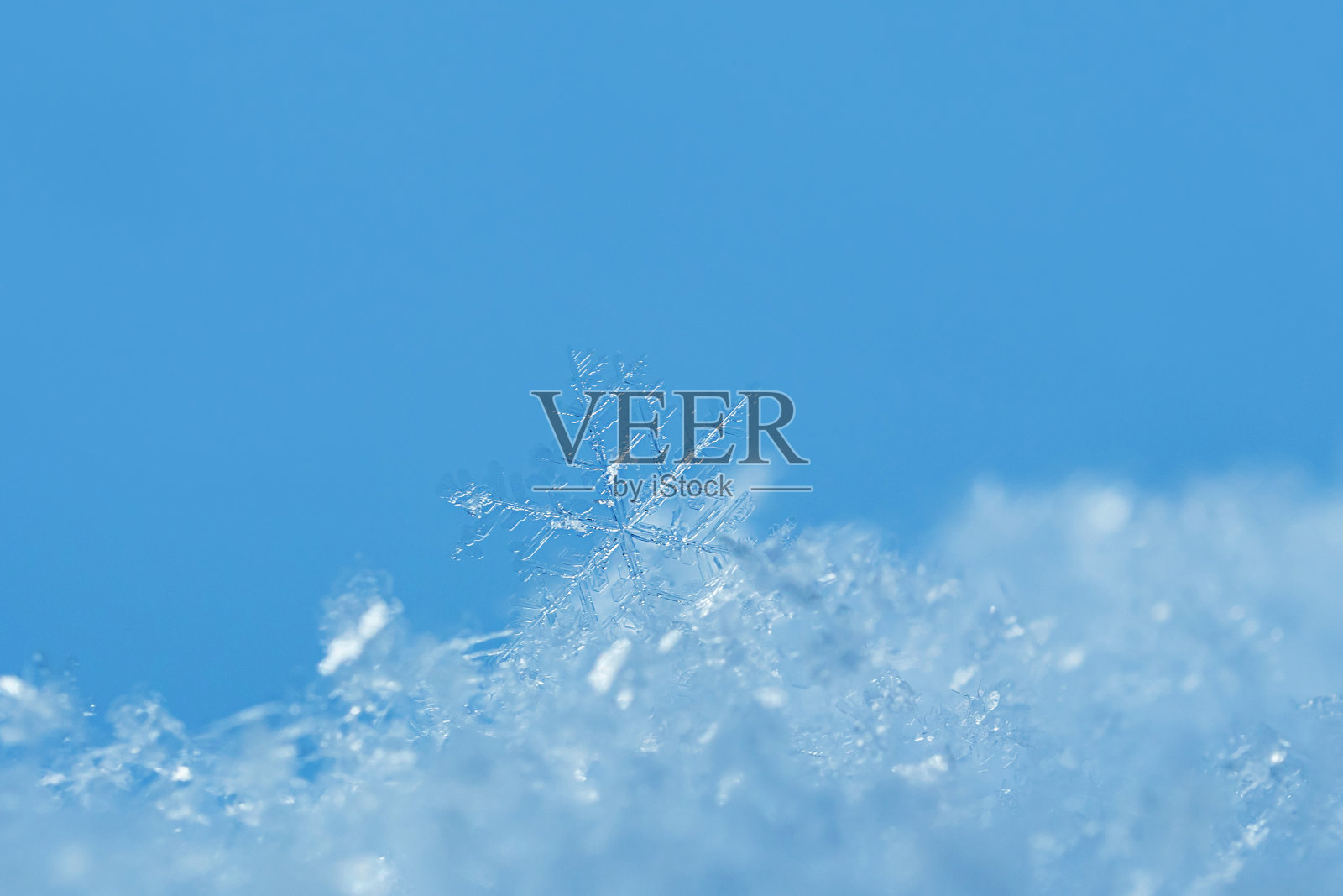 雪花特写。宏观照片。照片摄影图片