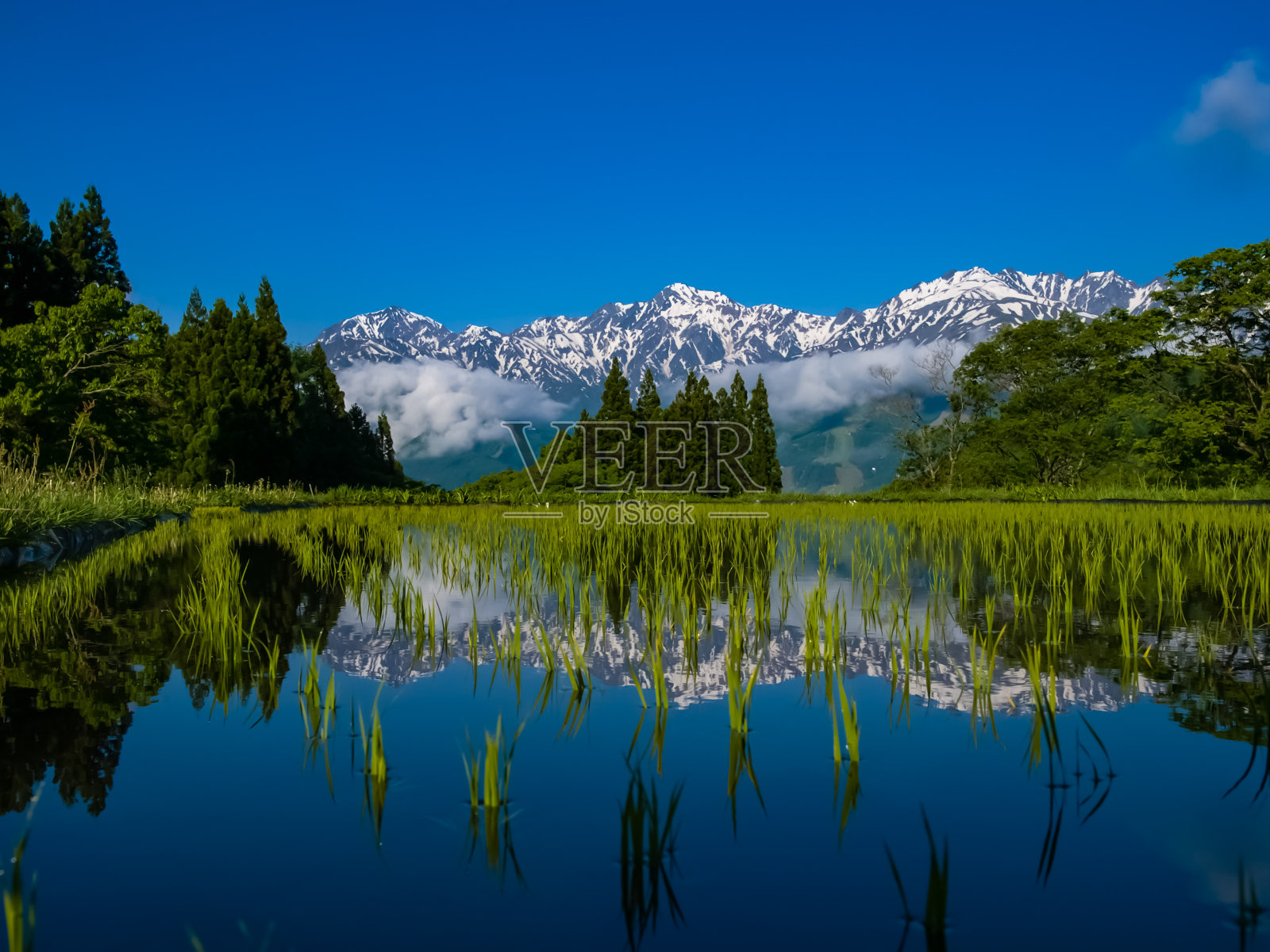 梯田稻田和日本阿尔卑斯山照片摄影图片