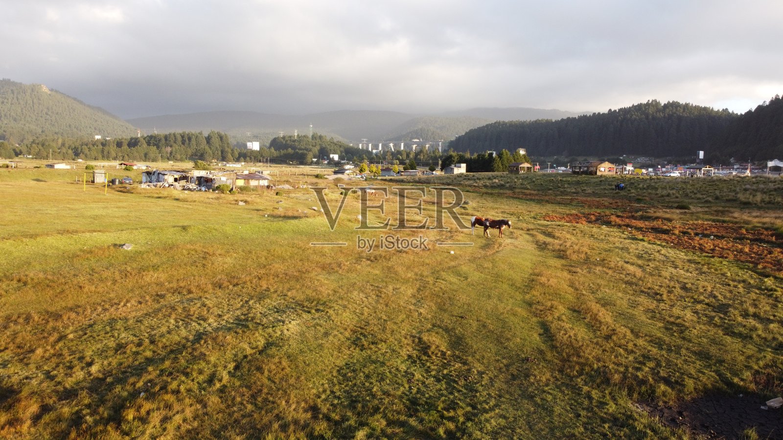 生活在农村与动物照片摄影图片