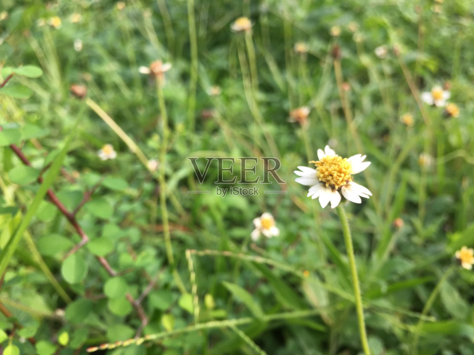 个性照片摄影图片