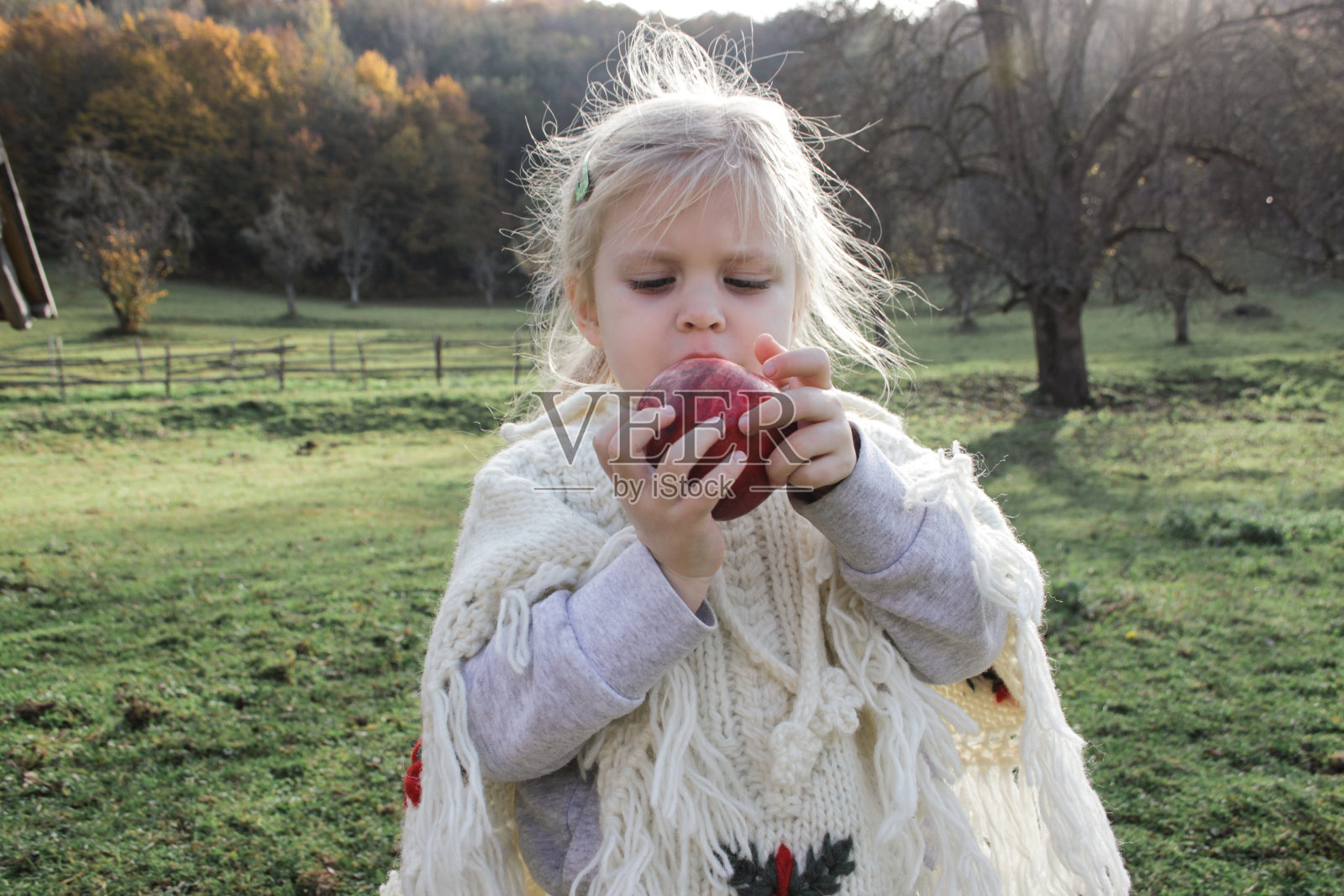 可爱的树岁女孩吃着红色的有机苹果。坦诚的户外童年概念。照片摄影图片