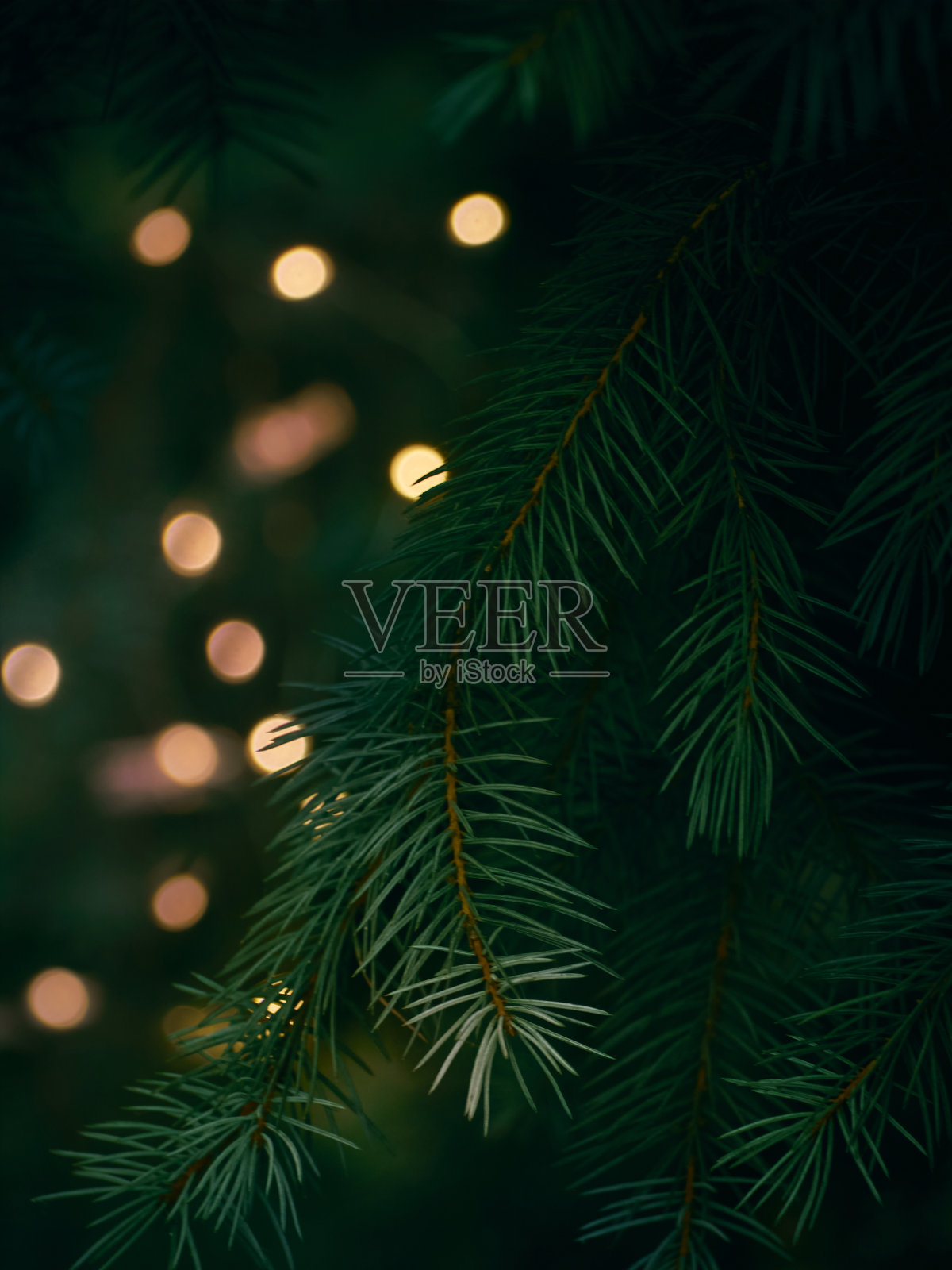 用花环散焦的圣诞冷杉树枝照片摄影图片