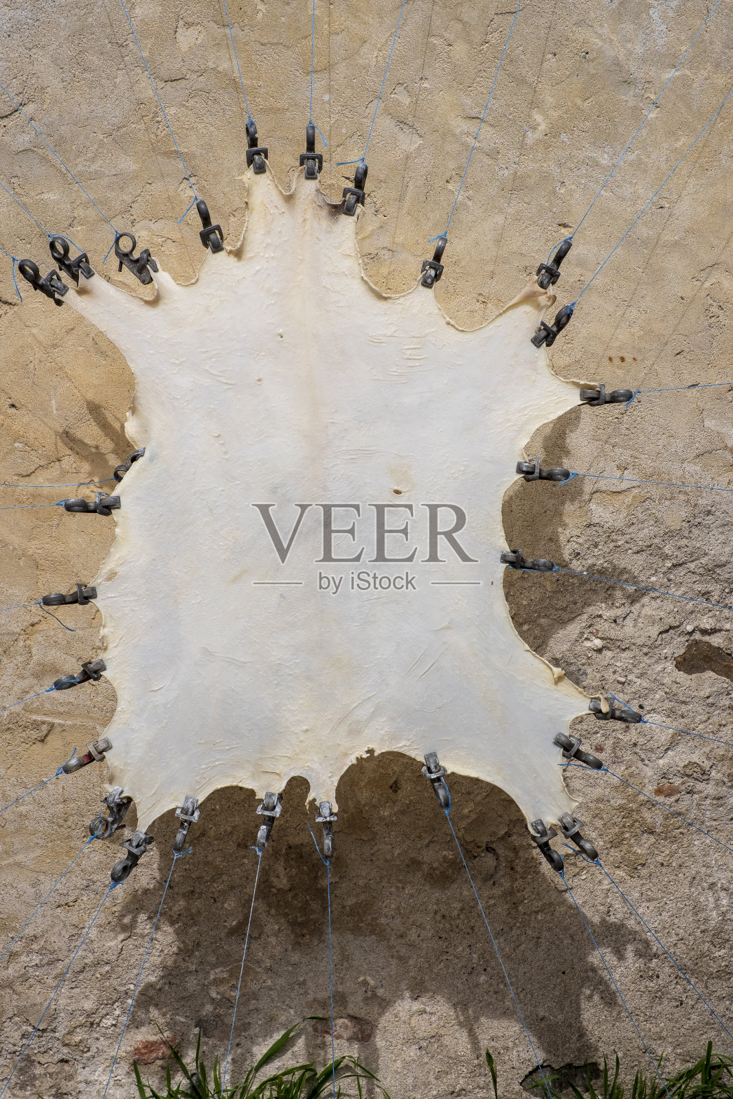 使皮革羊皮纸照片摄影图片