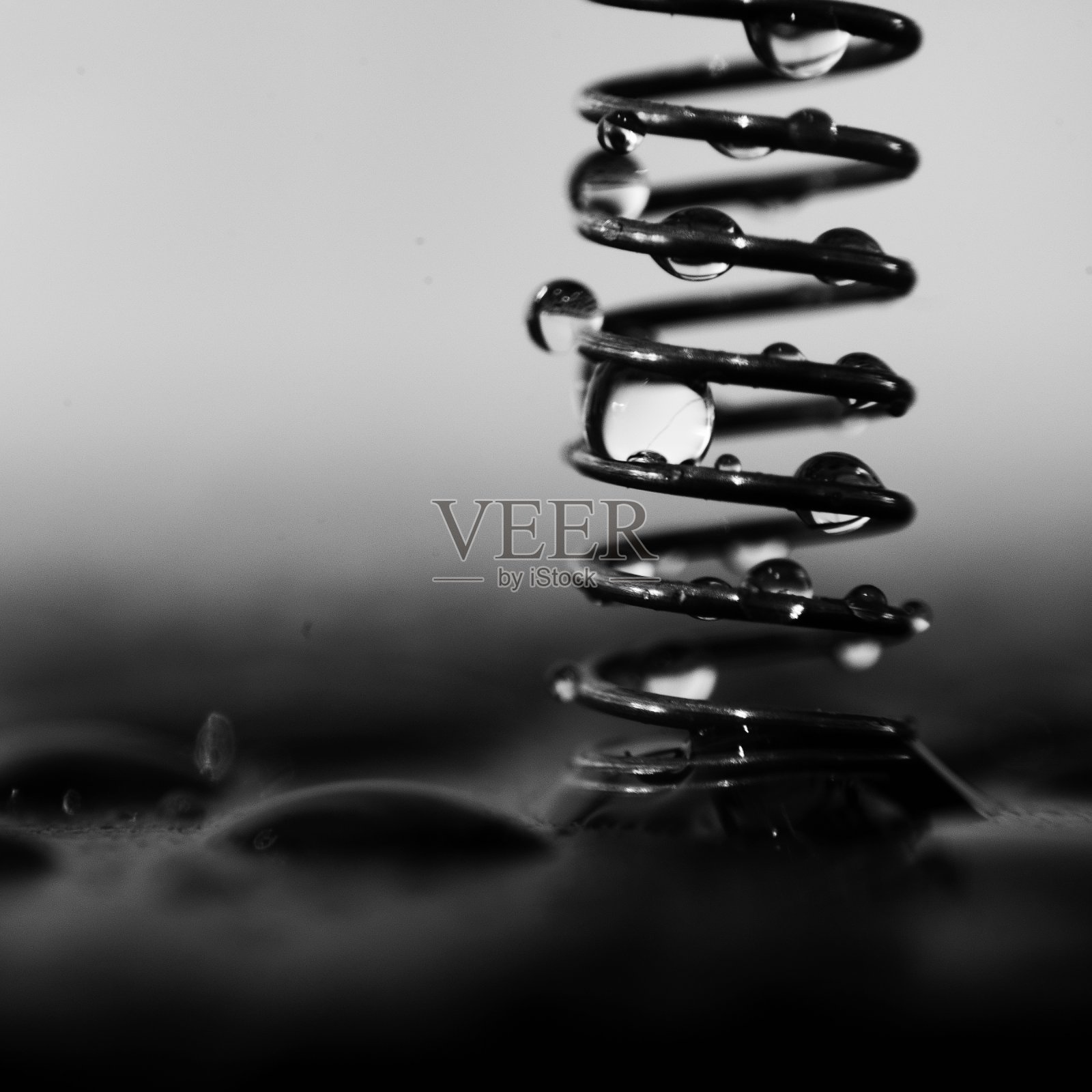 水珠在春宏照片摄影图片