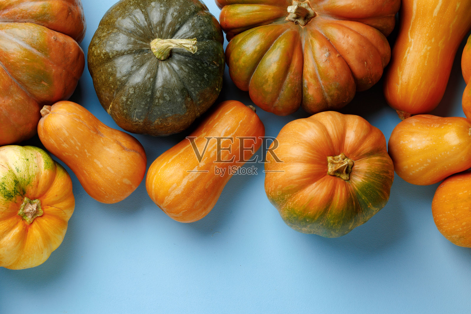 蓝色背景上不同颜色的南瓜合集照片摄影图片