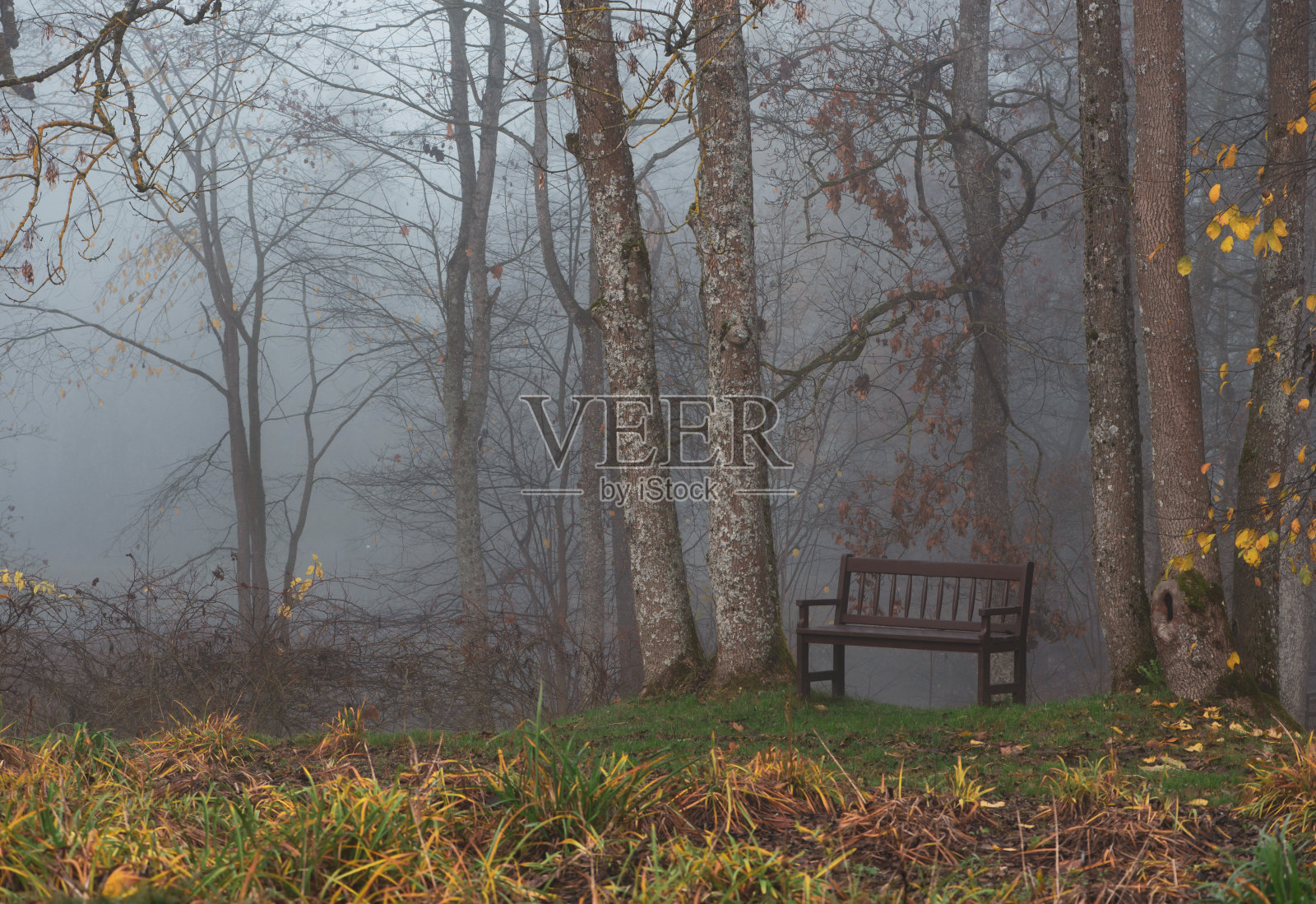 雾气笼罩的公园里的长椅照片摄影图片