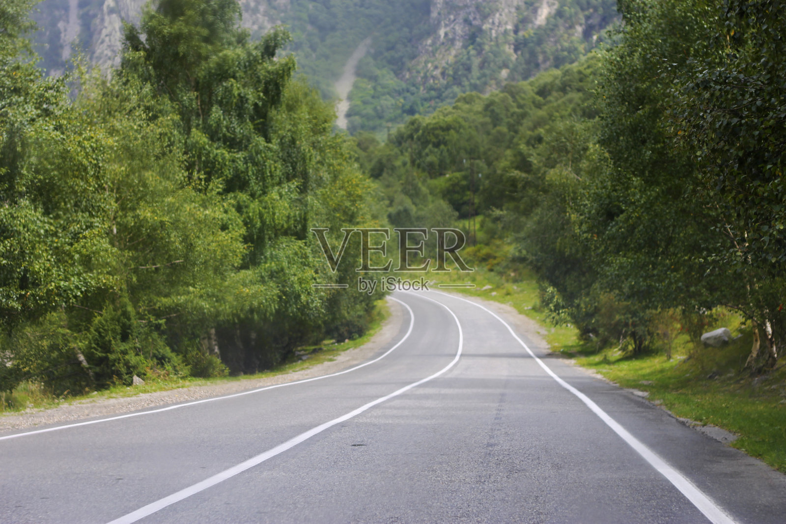 高山公路穿过森林景观。北高加索地区旅行照片摄影图片
