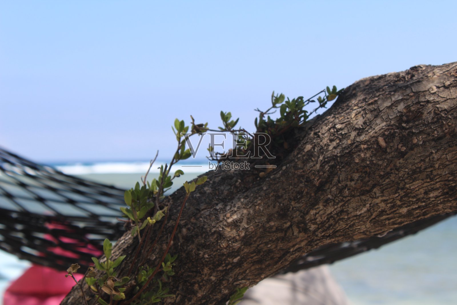 海滩宁静照片摄影图片