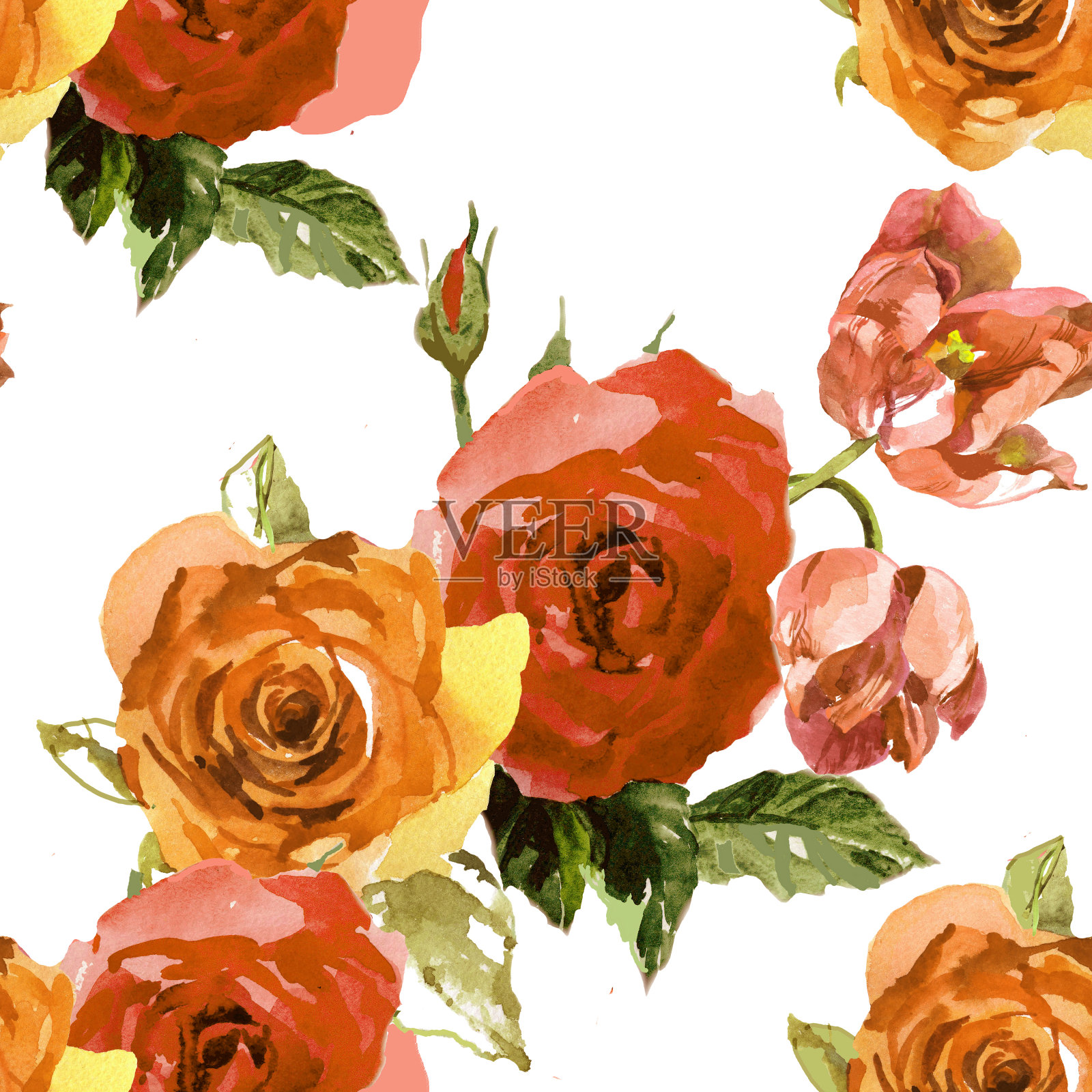 水彩橙色玫瑰在白色无缝模式。插画图片素材