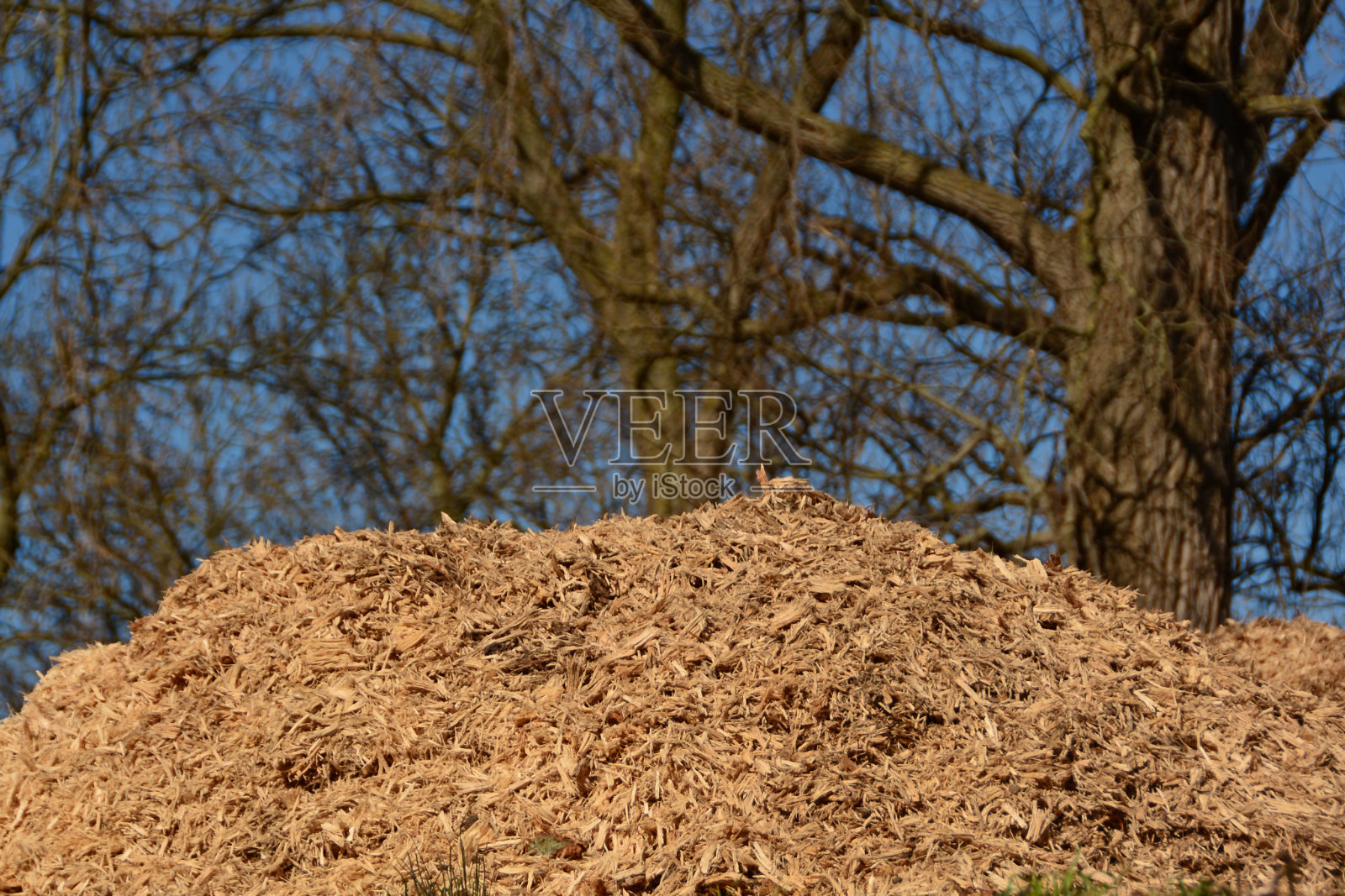 堆锯末。照片摄影图片