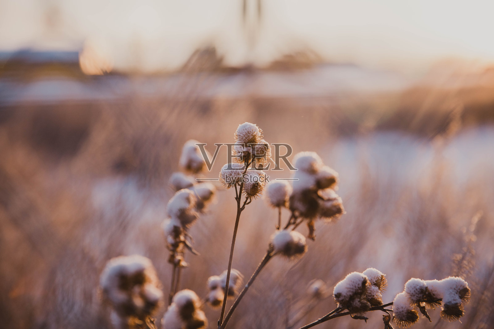 冬天的风景照片摄影图片