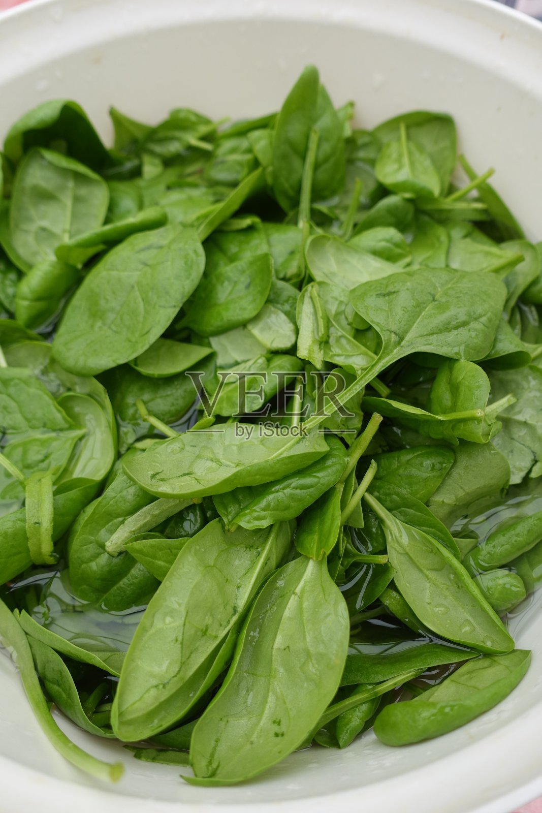 烹饪前准备的菠菜嫩叶照片摄影图片