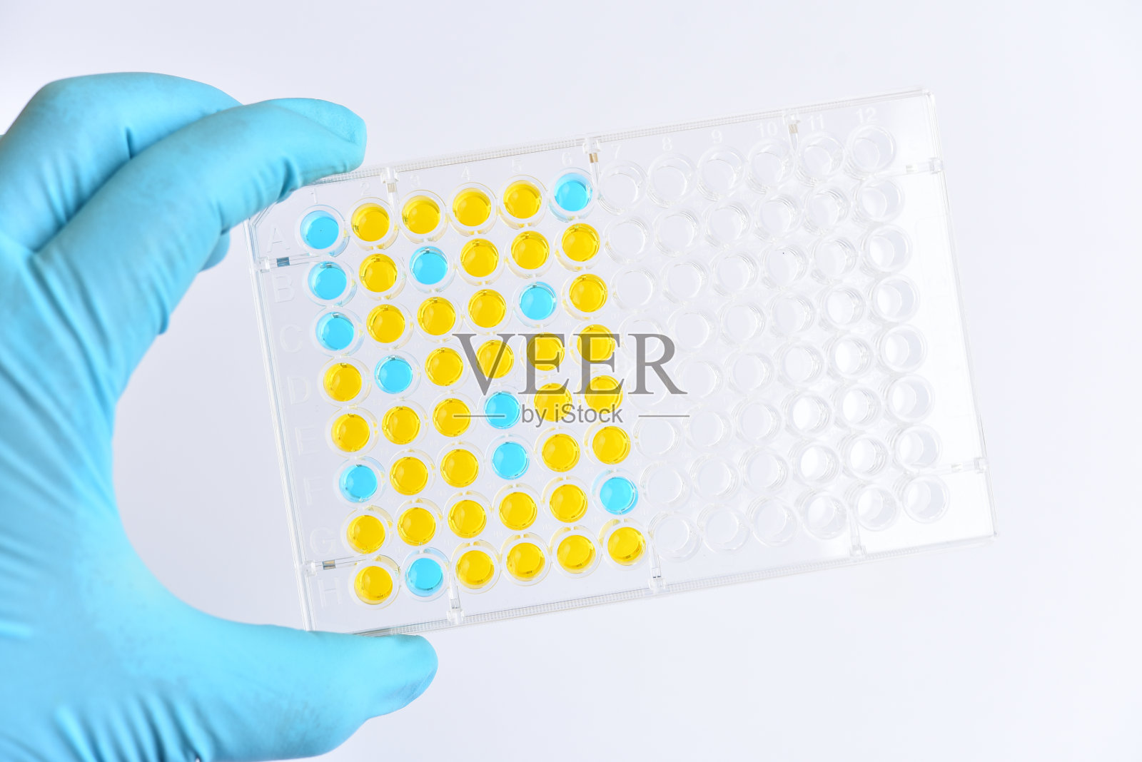 酶联免疫吸附试验或酶联免疫吸附试验板照片摄影图片