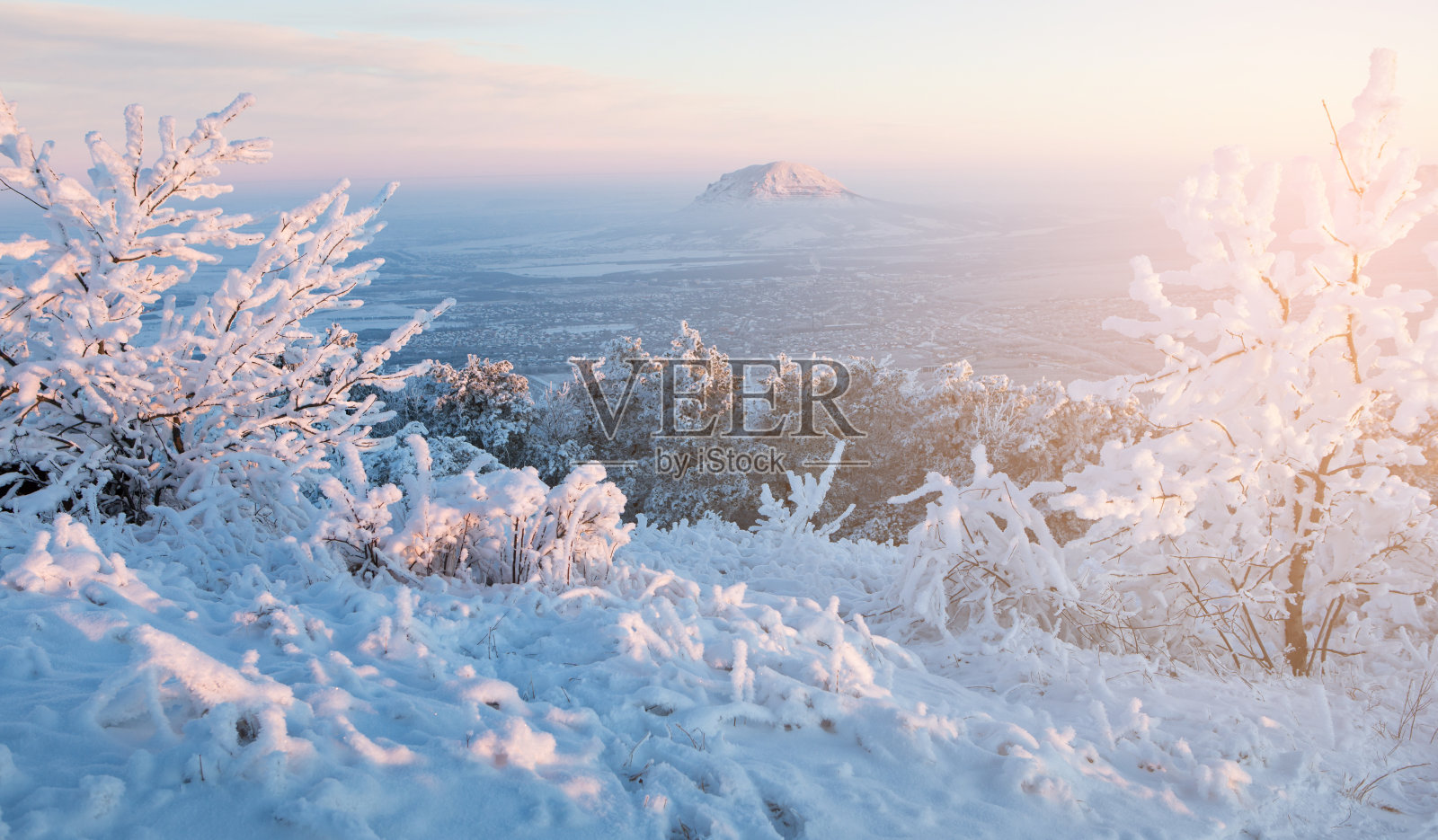 结霜树木的特写照片摄影图片