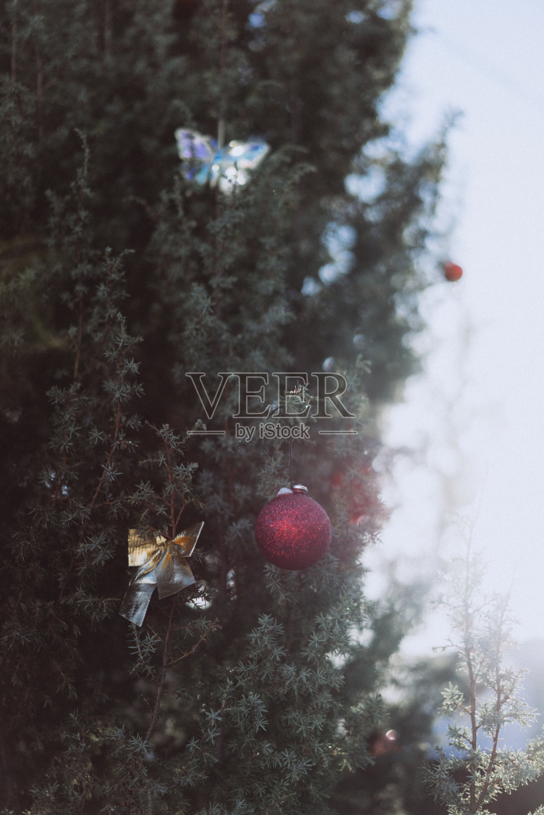 圣诞装饰品,圣诞树上的球,圣诞背景与散焦,选择性聚焦照片摄影图片