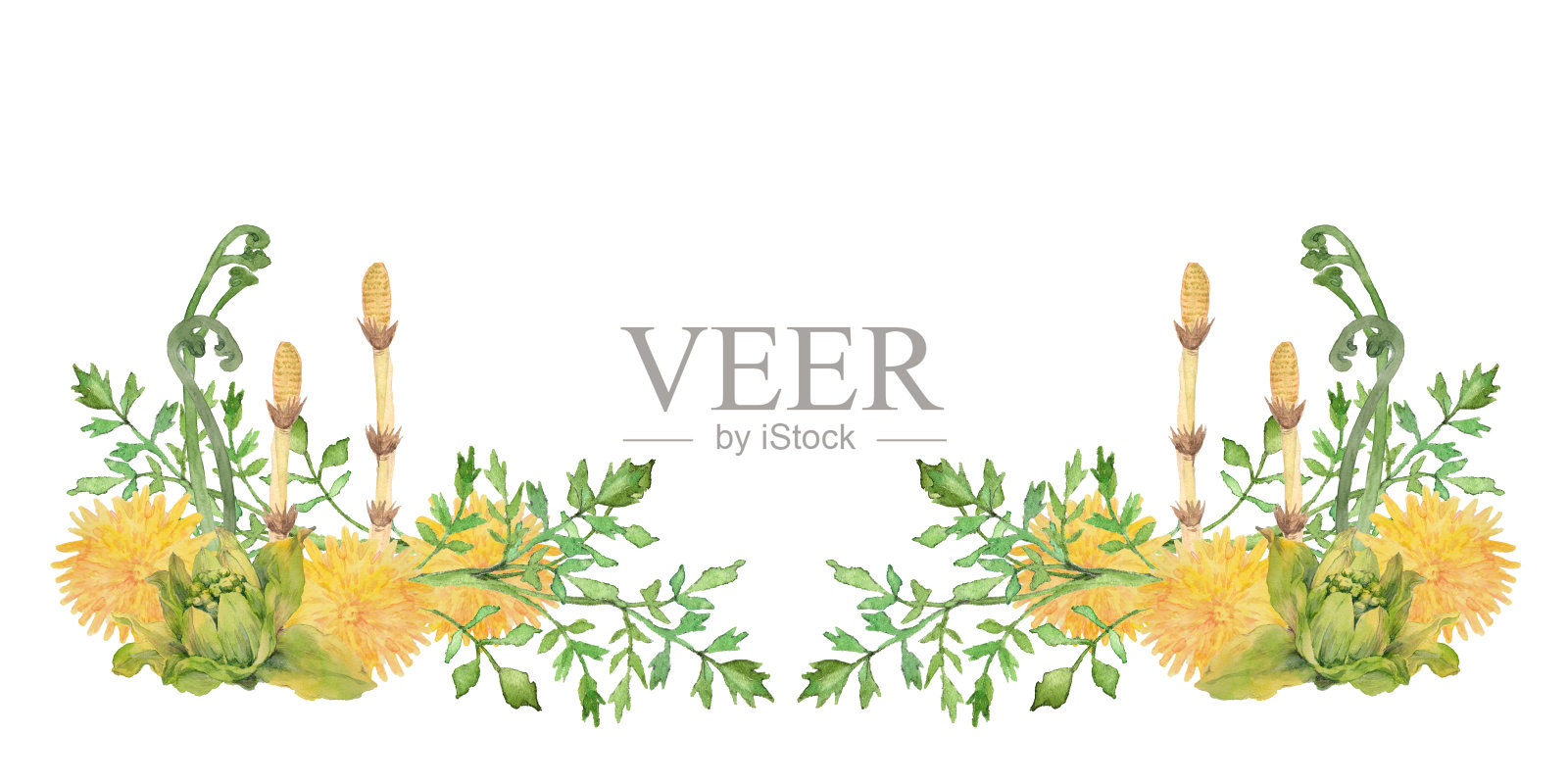 春季野生植物插画图片素材