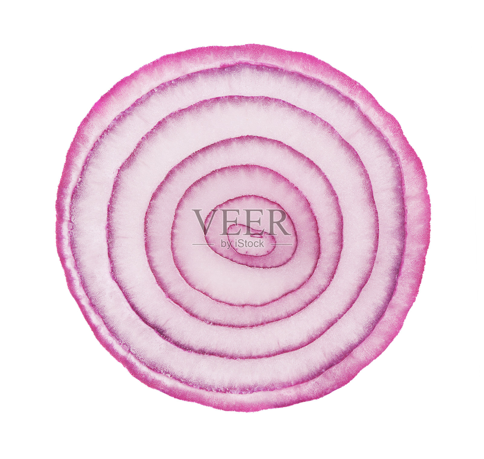 红色洋葱孤立在白色背景上。照片摄影图片