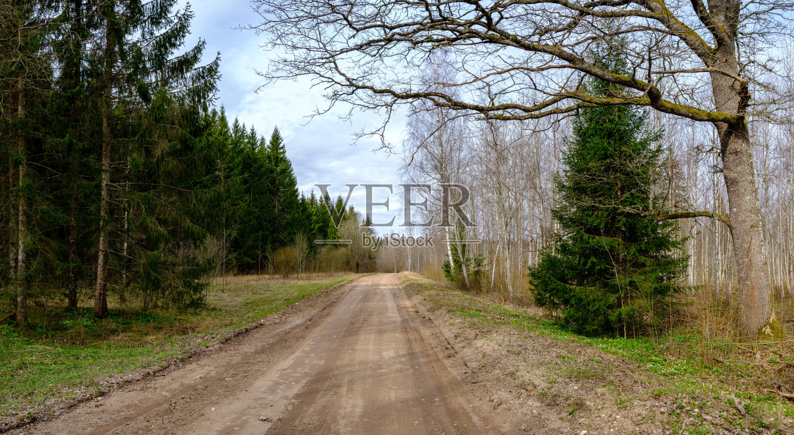 在夏天的乡村土路砾石透视照片摄影图片