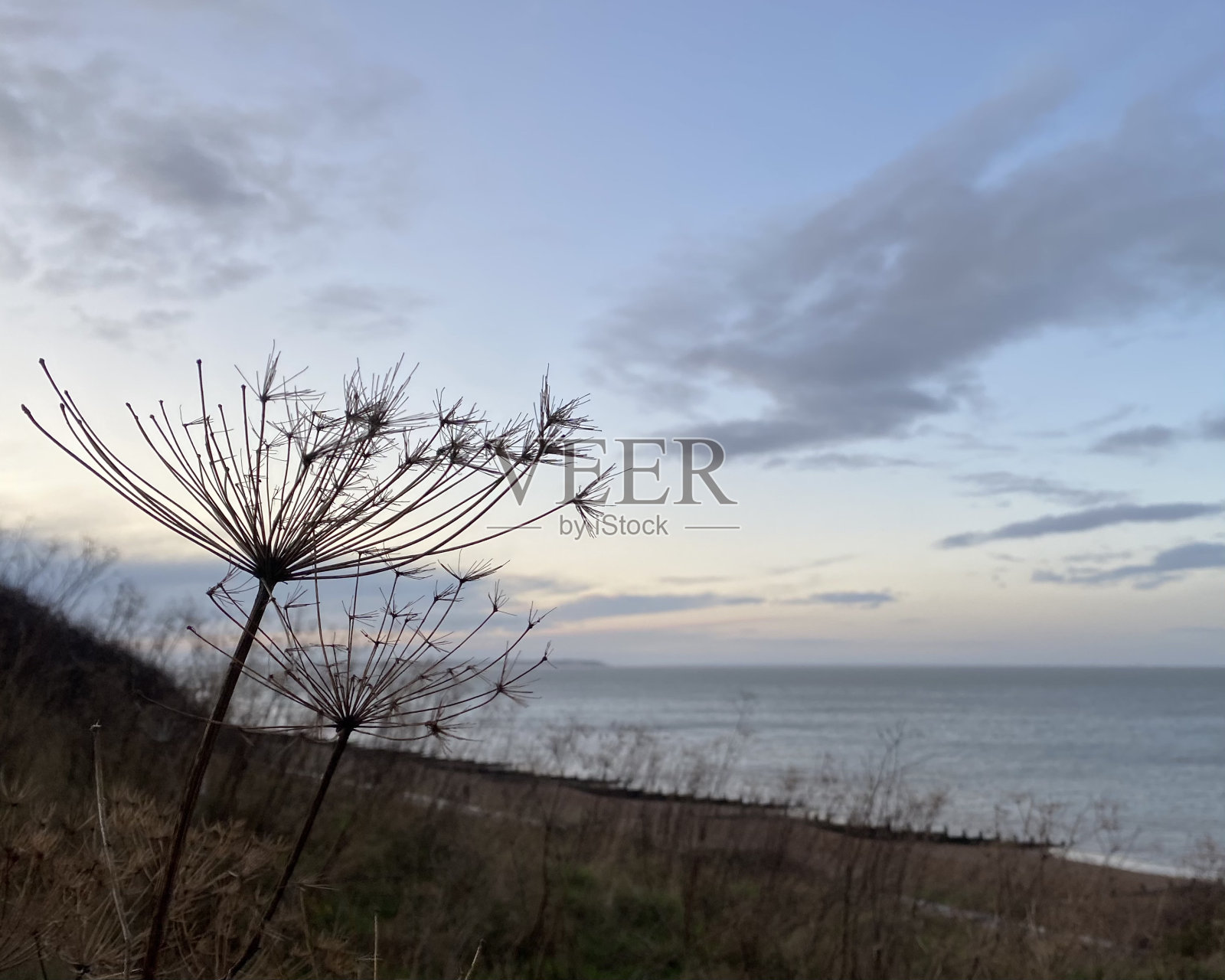北海海滩照片摄影图片