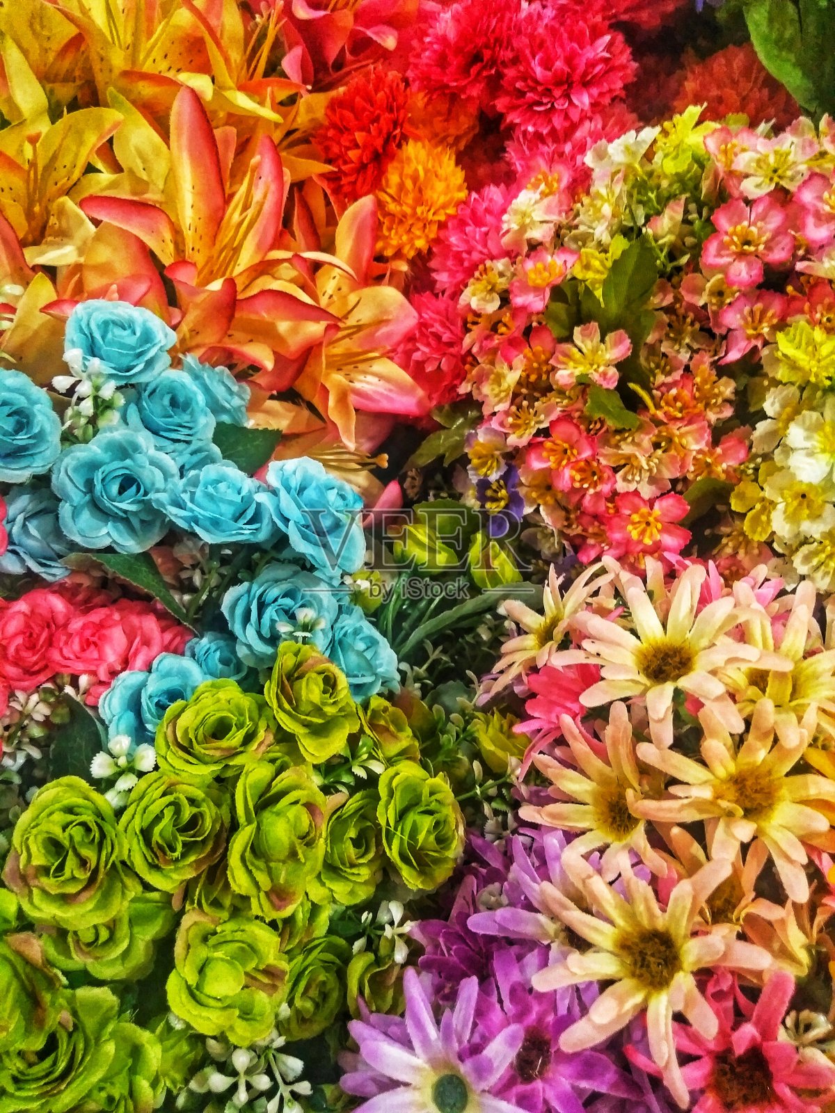 花照片摄影图片