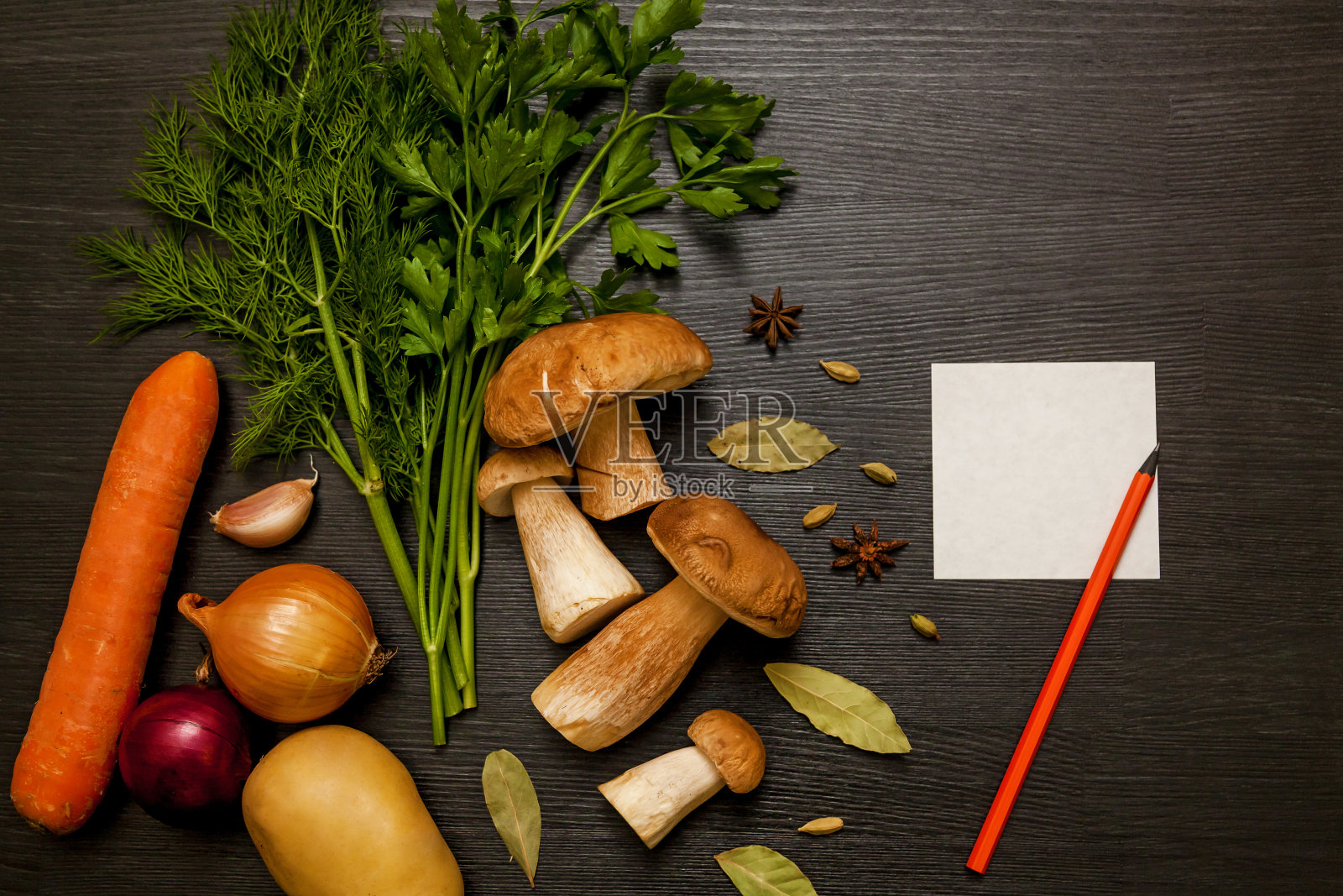 白色的森林蘑菇照片摄影图片