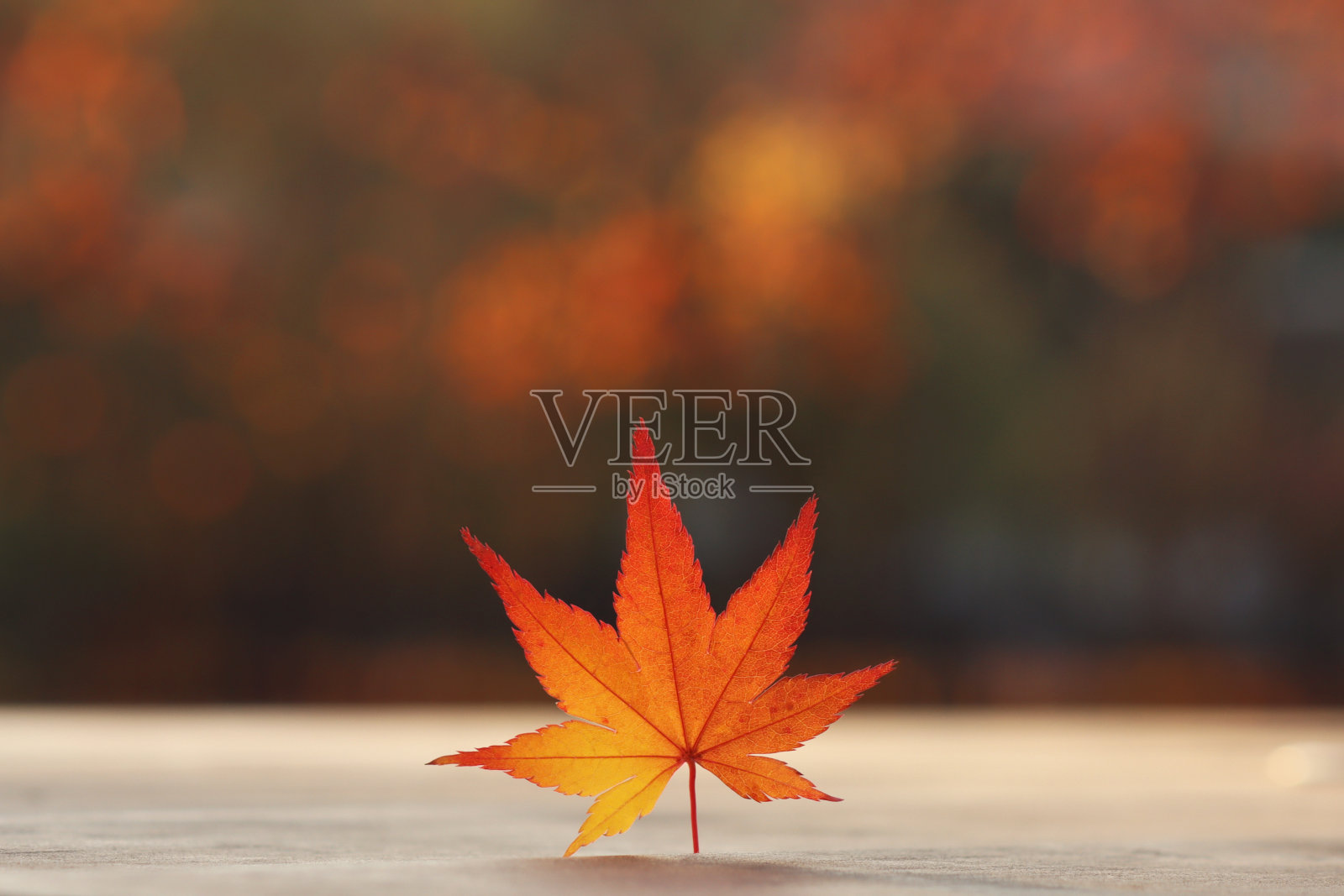 秋天的颜色照片摄影图片