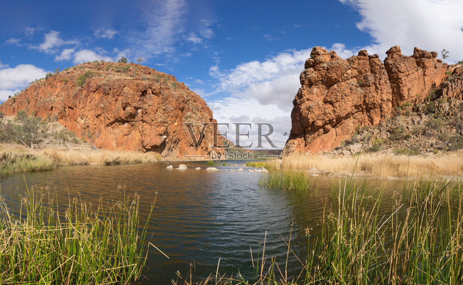 澳大利亚内陆的水坑照片摄影图片