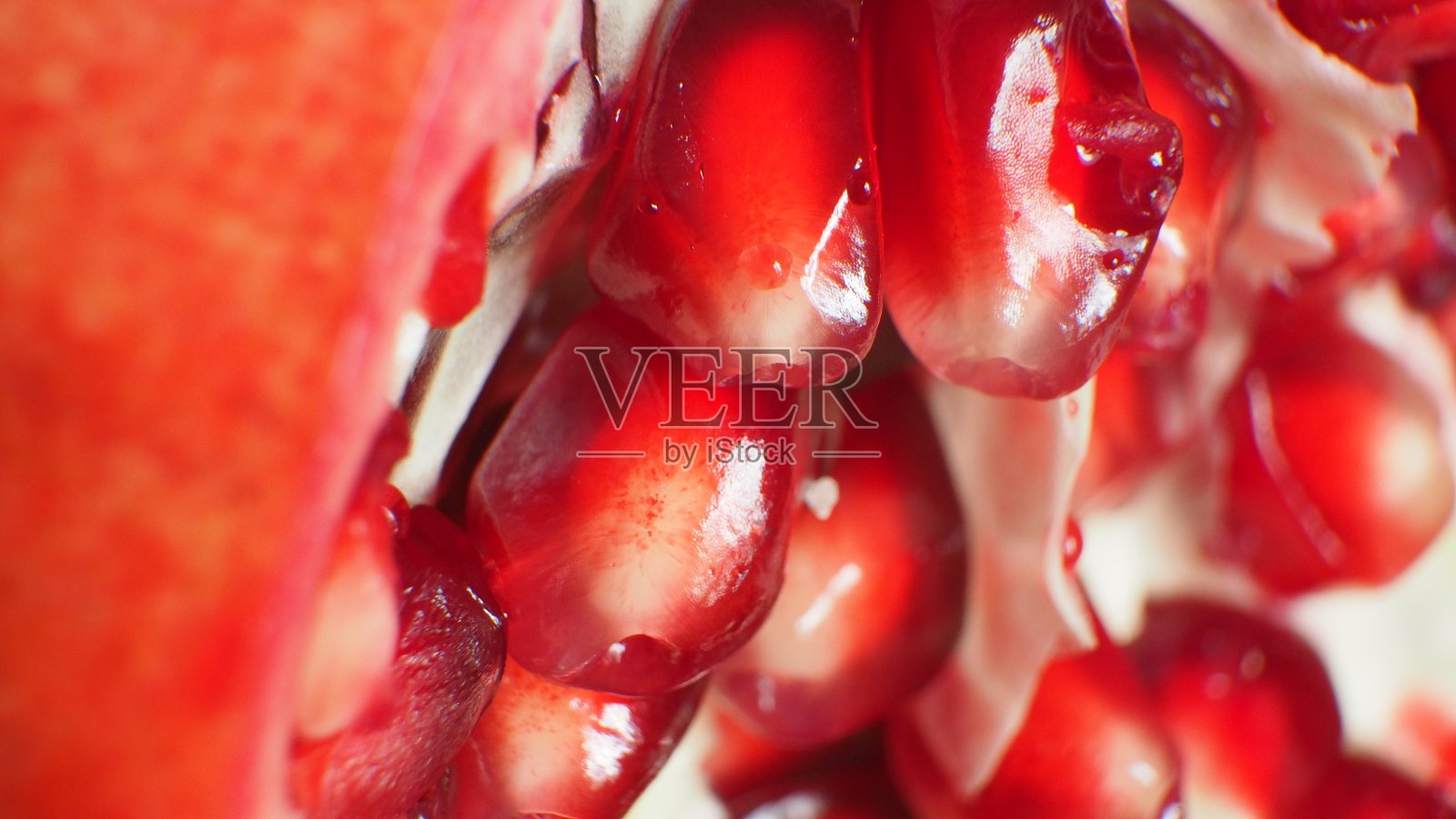 石榴照片摄影图片