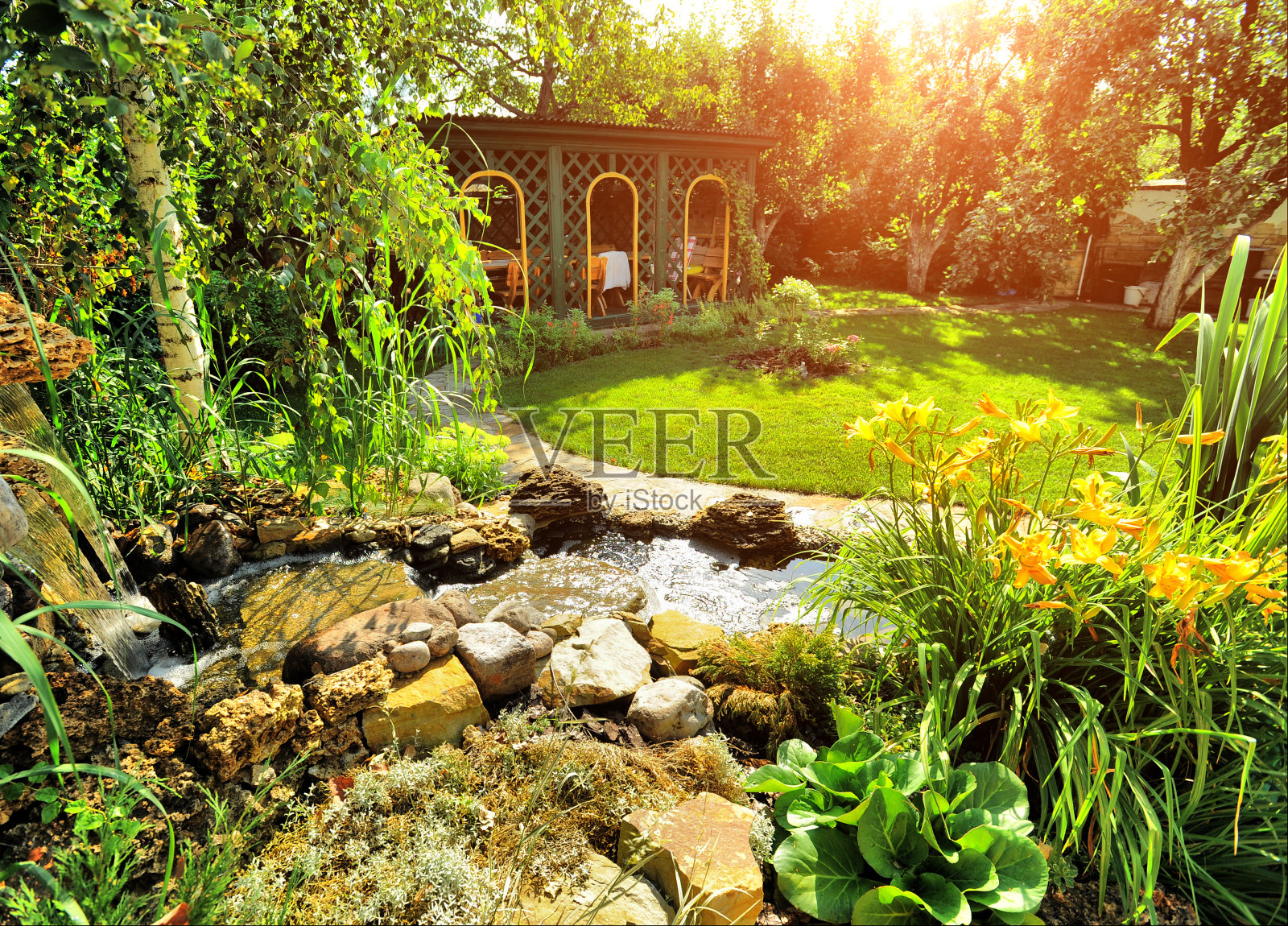 美丽的景观,美丽的植物照片摄影图片