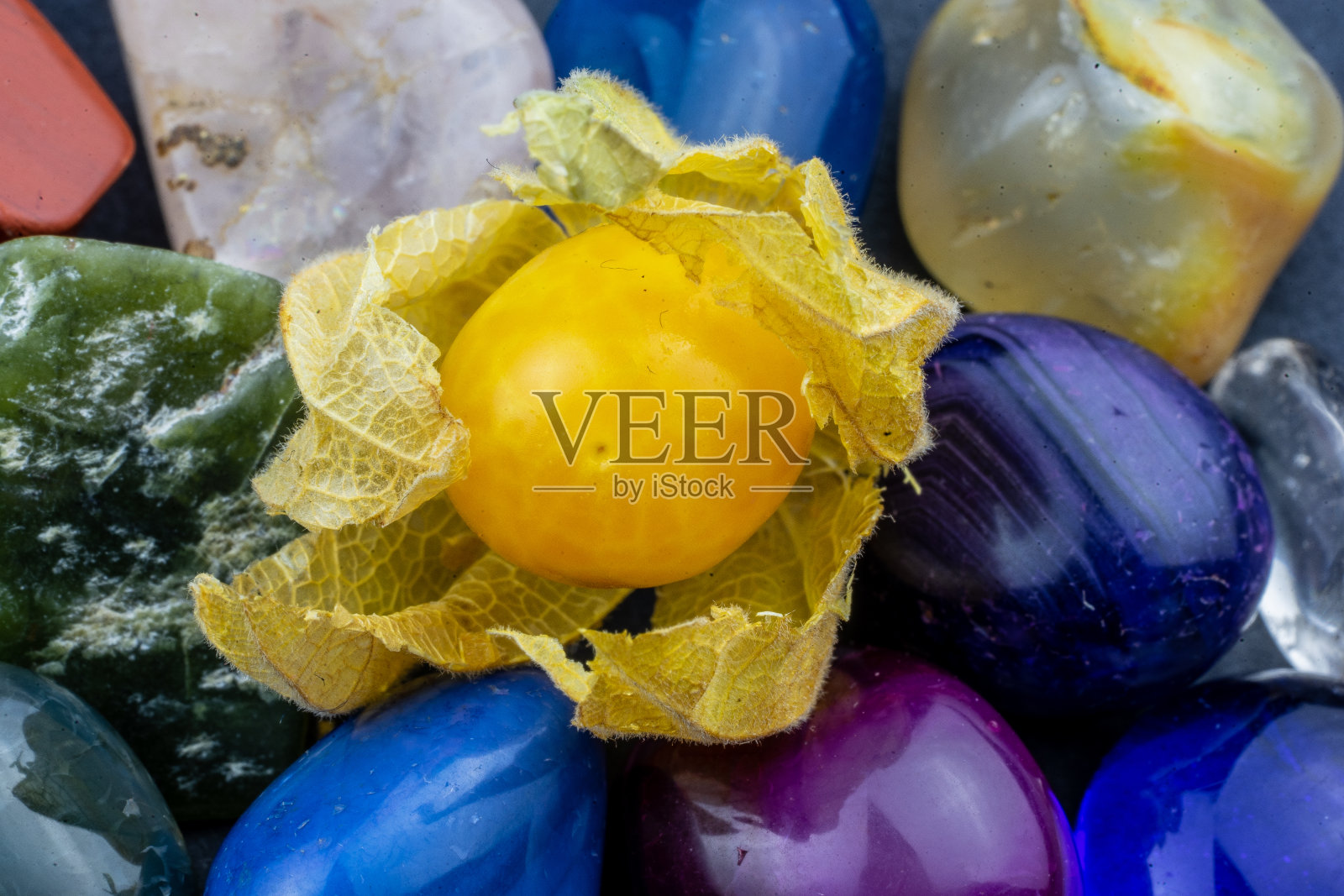 彩色石头上的酸浆果的显微摄影照片摄影图片