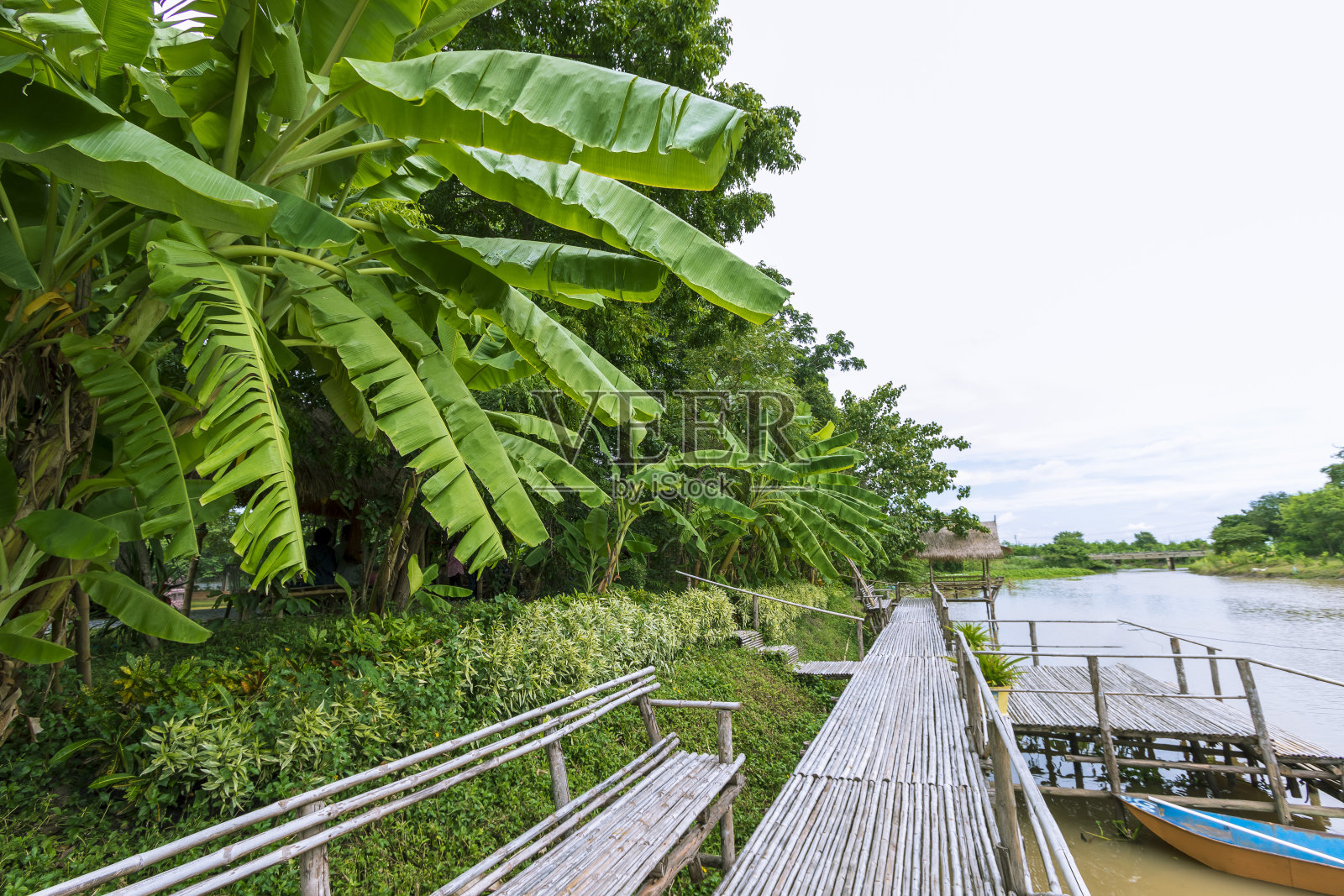 泰国罗布里省河边的竹桥照片摄影图片