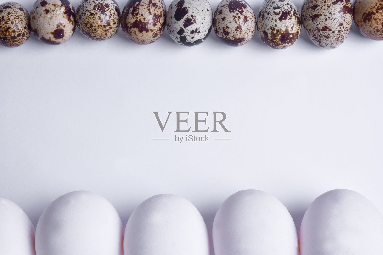 框架的顶部是一排鹌鹑蛋,框架的底部是一排鸡蛋。中间是题词的地方照片摄影图片