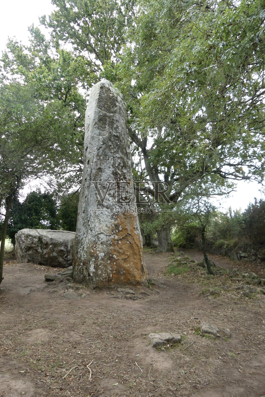 森林里的大汉照片摄影图片