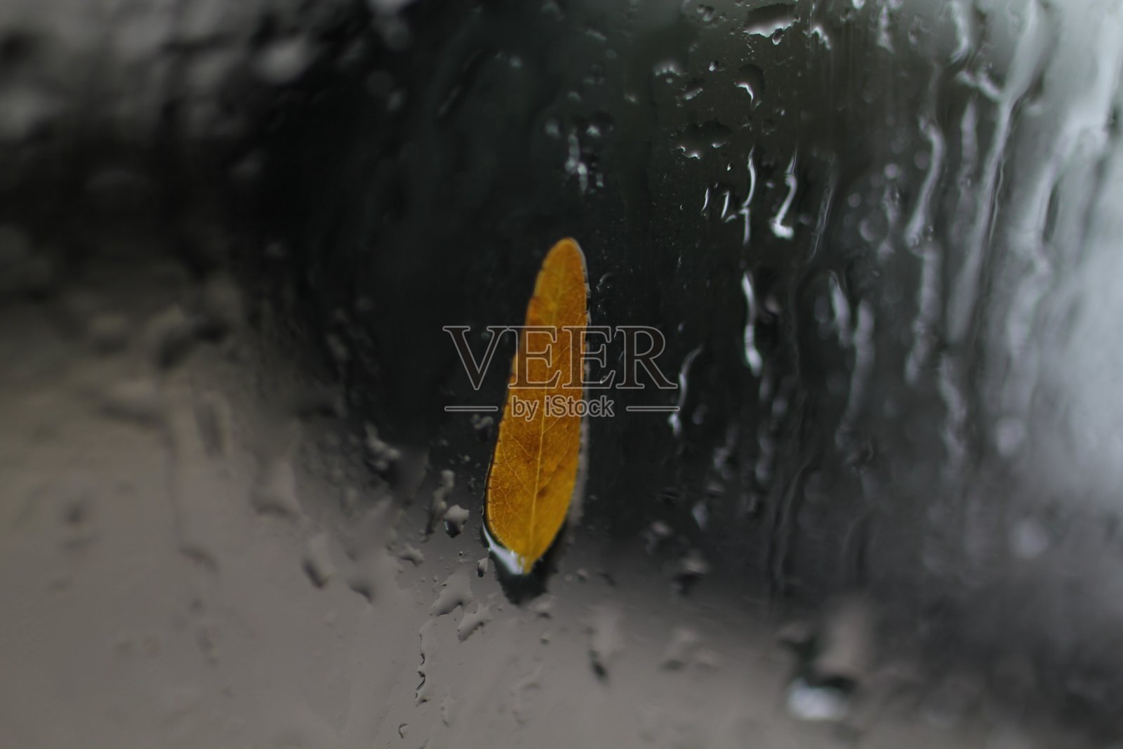 雨点落在车窗上,是黄色的树叶照片摄影图片