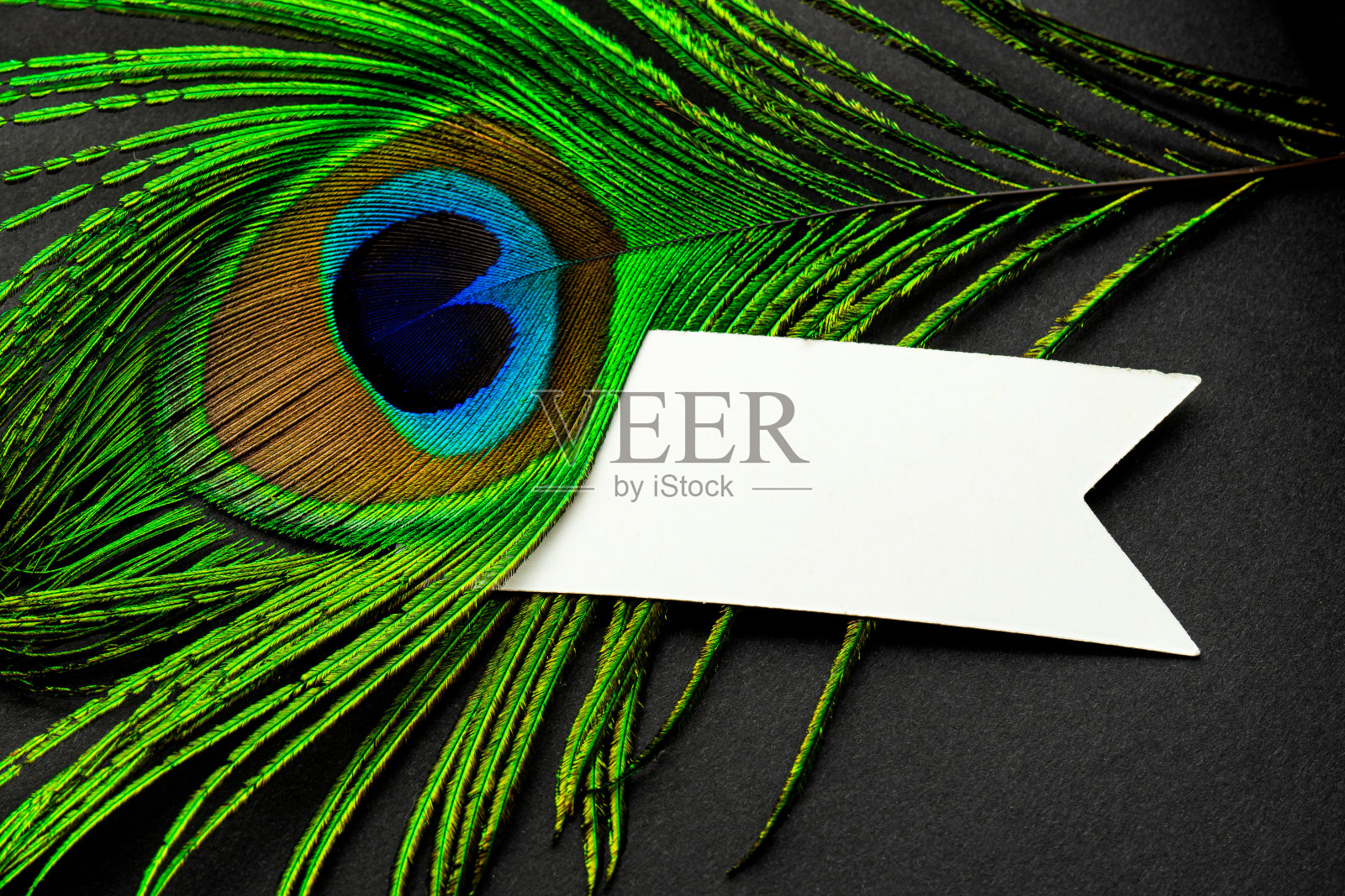 您的设计的空标签。圣诞节、生日或其他节日庆祝明信片,备注。照片摄影图片