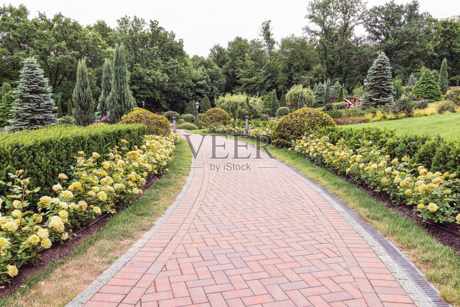 乌克兰基辅附近的Mezhyhirya公园里一条美丽小巷的碎片。照片摄影图片